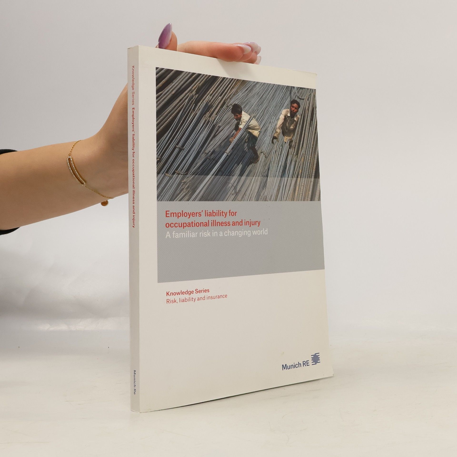 Collectif d'auteurs Employers' Liability For Occupational Illness And Injury
