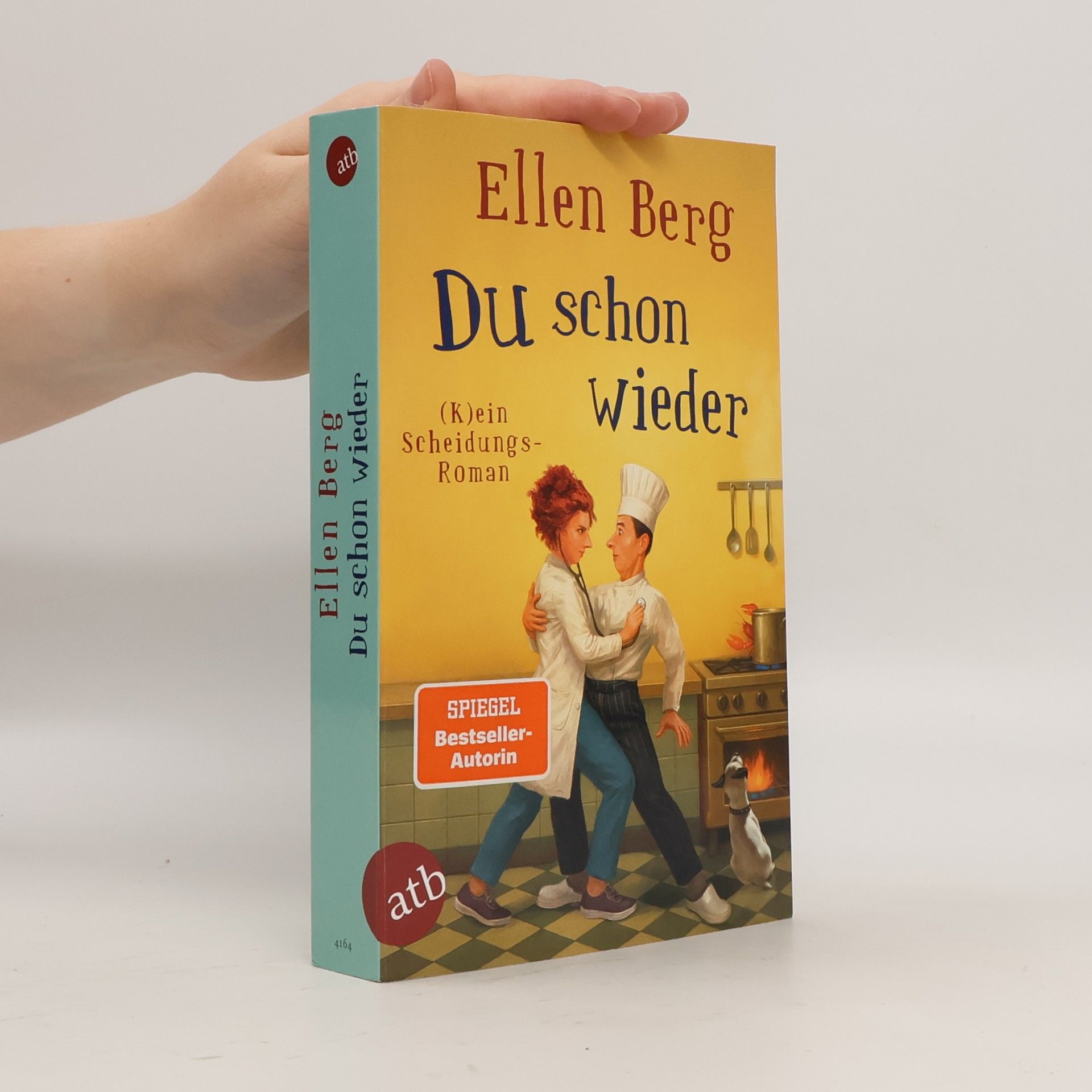 Ellen Berg Du schon wieder: (K)ein Scheidungs-Roman