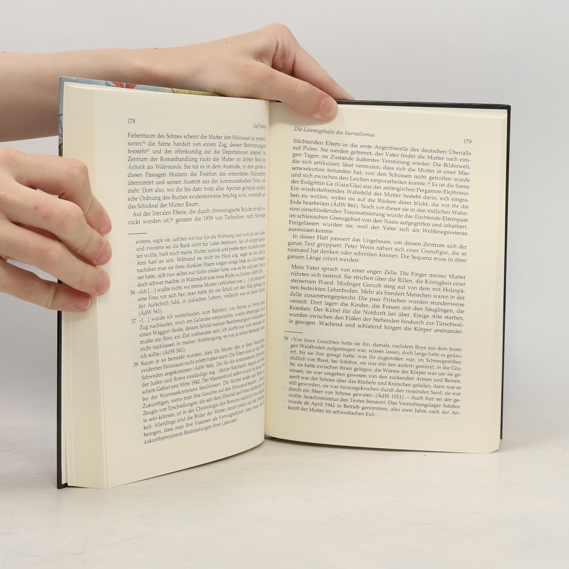 Arnd Beise Peter Weiss Jahrbuch 2016