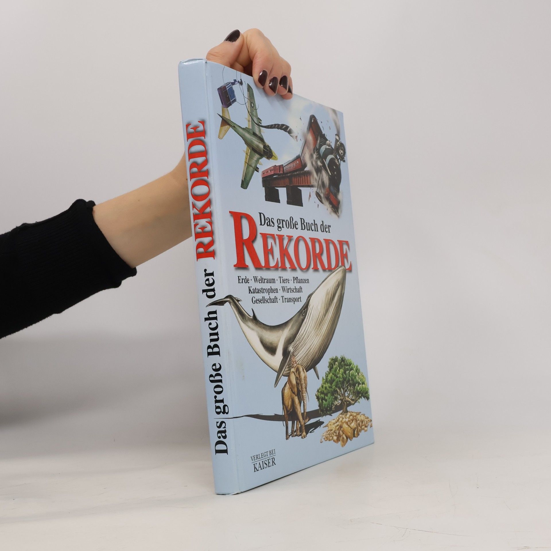 Davide Bonadonna Das große Buch der Rekorde