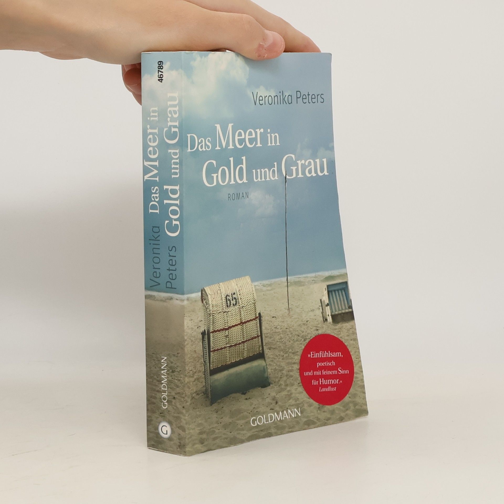 Veronika Peters Das Meer in Gold und Grau