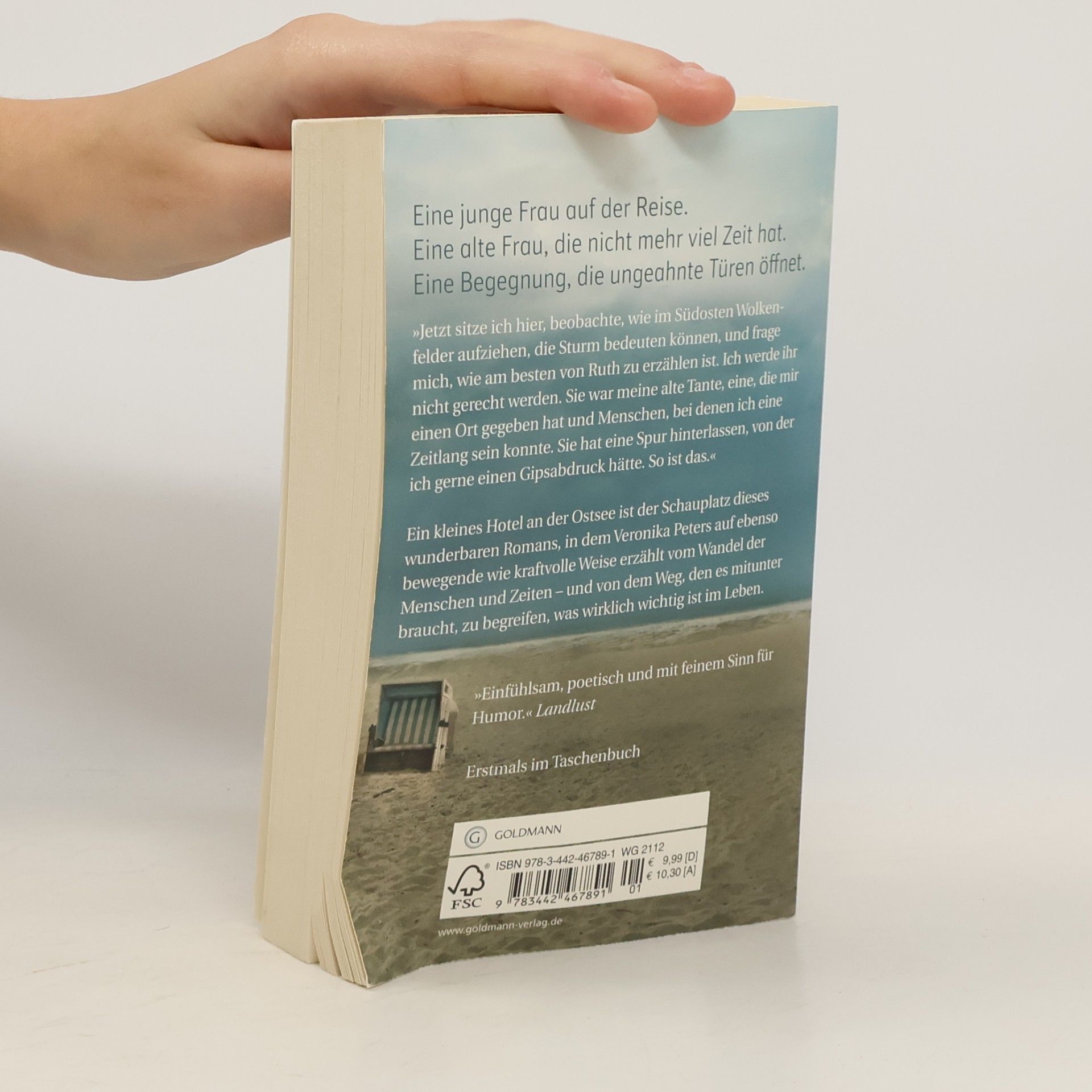 Veronika Peters Das Meer in Gold und Grau