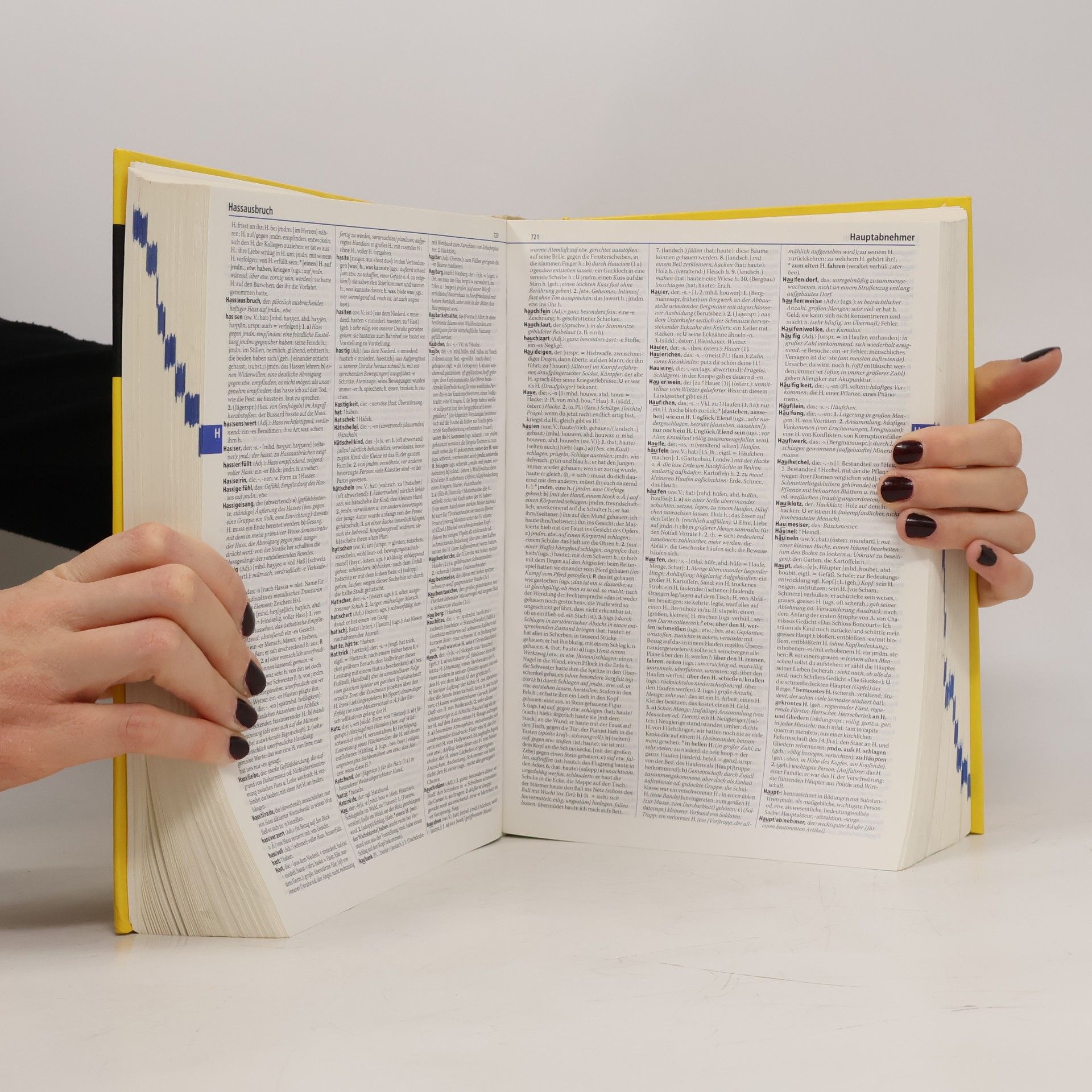 Annette Klosa Duden, Deutsches Universalwörterbuch