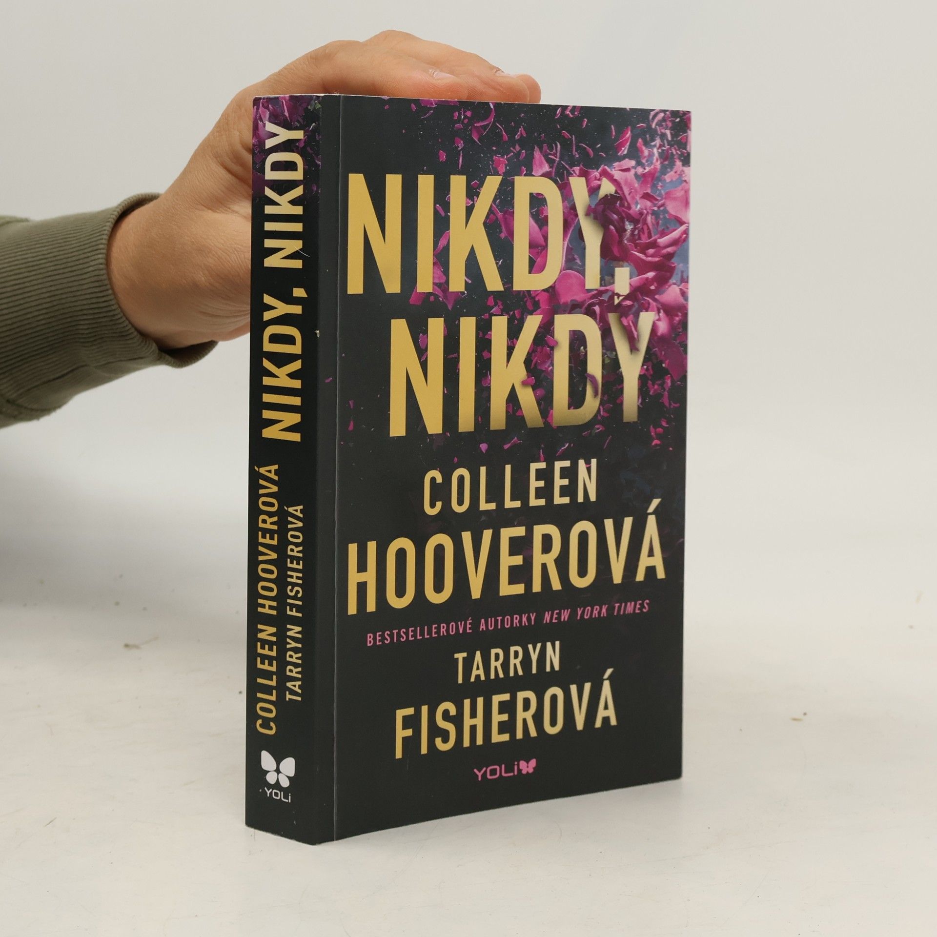 Colleen Hoover Nikdy, nikdy