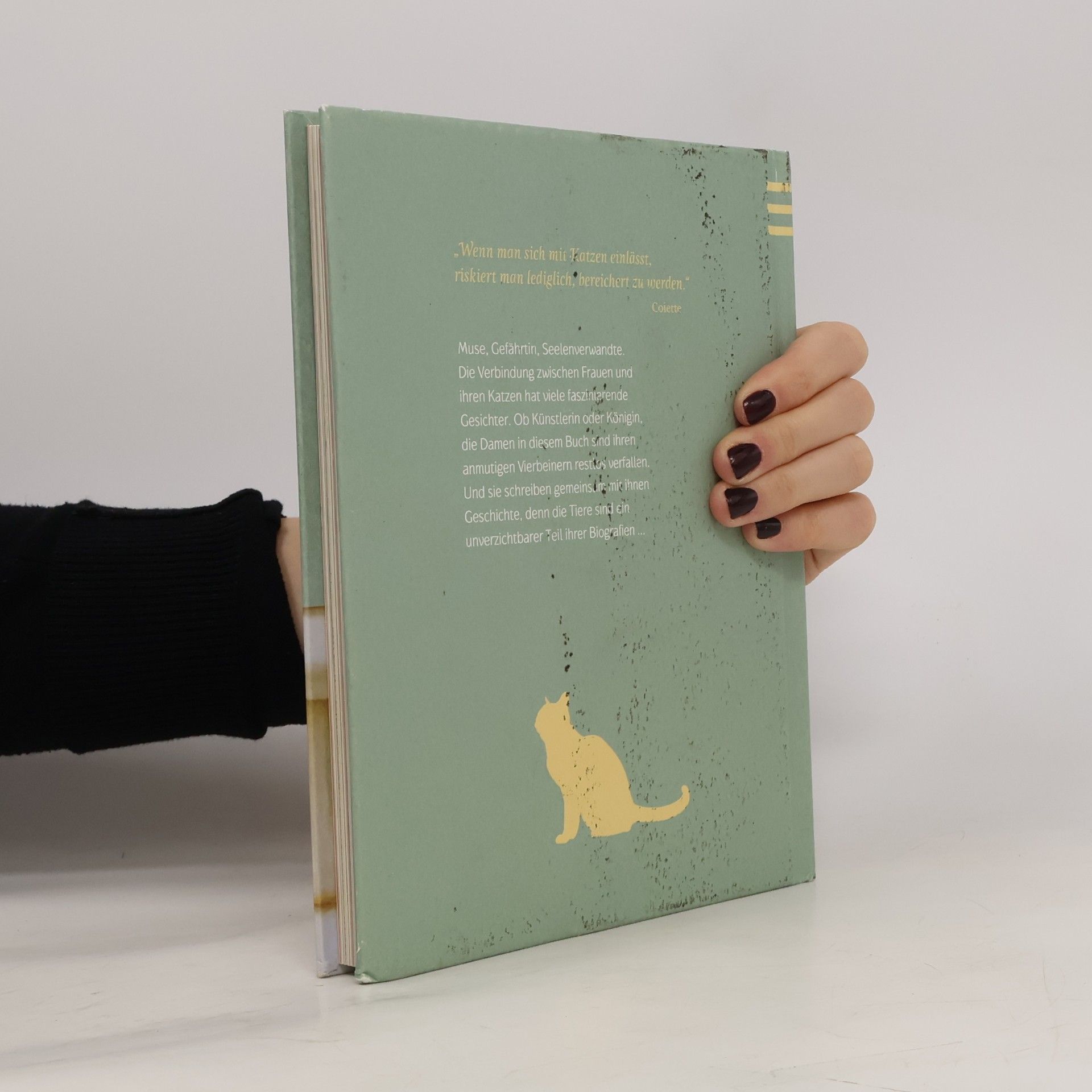 Andrea-Anna Cavelius Kluge Frauen und ihre Katzen