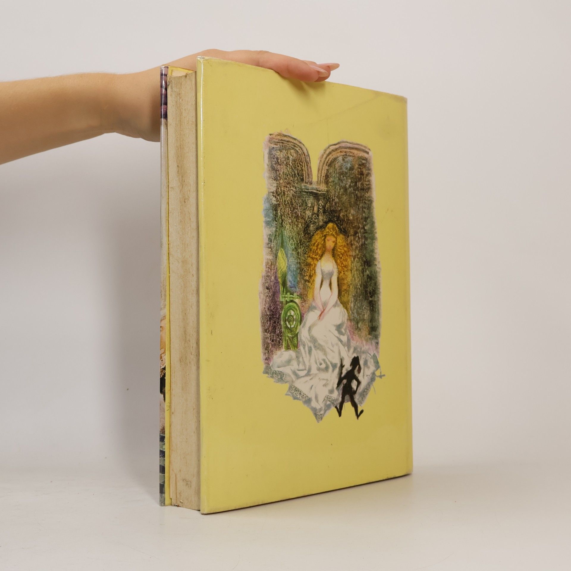 Hans-Christian Andersen Favourite Tales from Grimm and Andersen