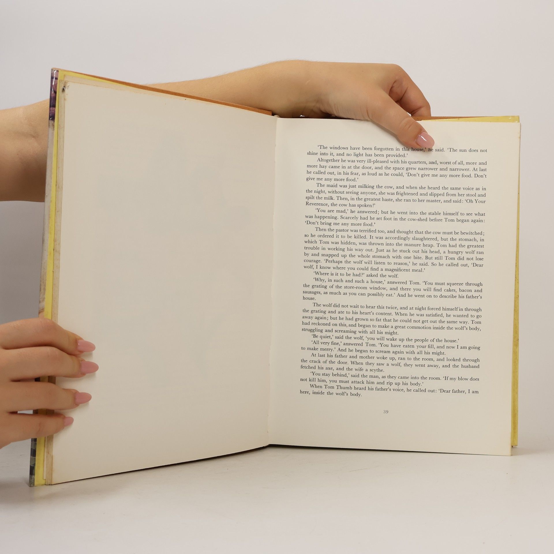 Hans-Christian Andersen Favourite Tales from Grimm and Andersen
