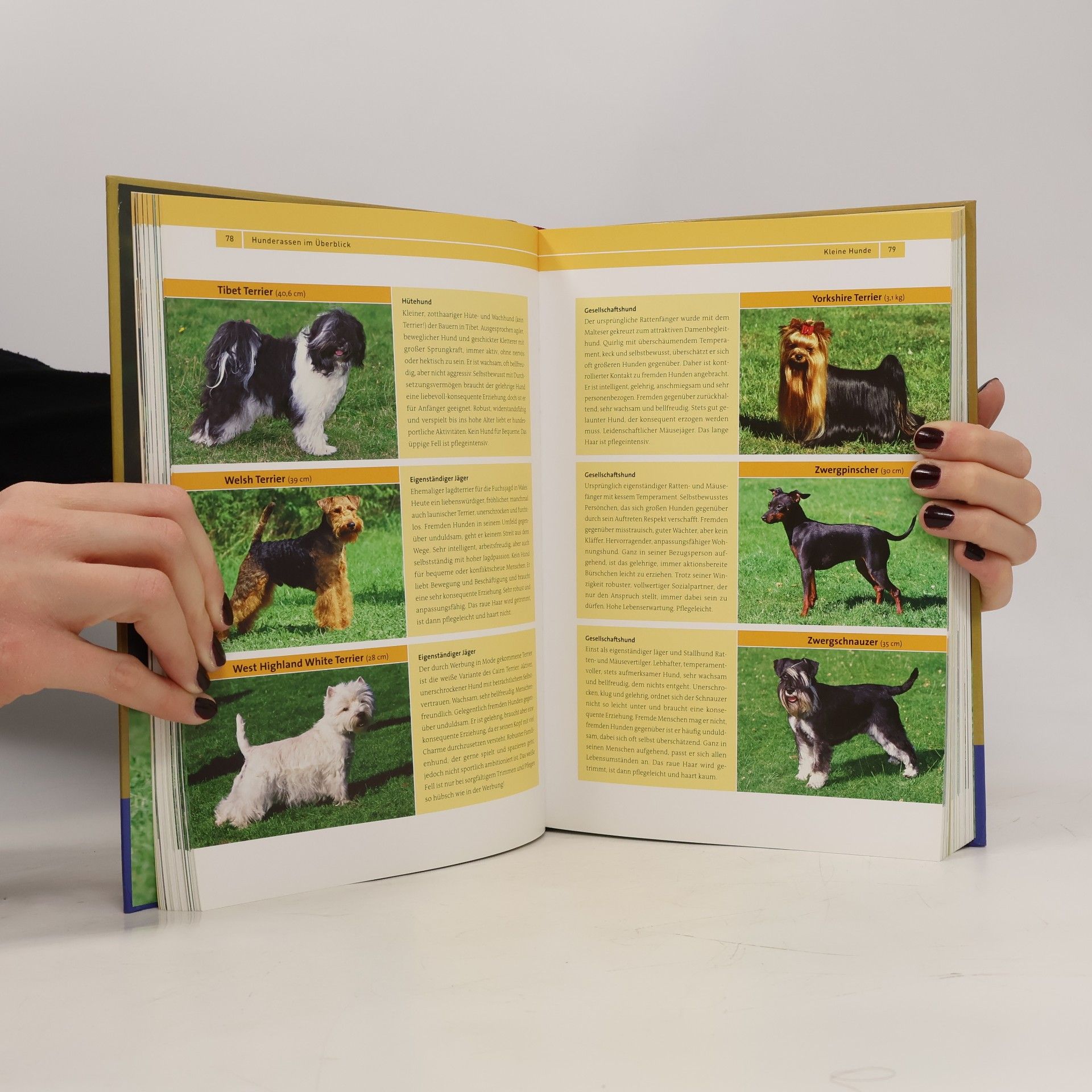 Vera-Sabine Winkler Kosmos-Handbuch Hund
