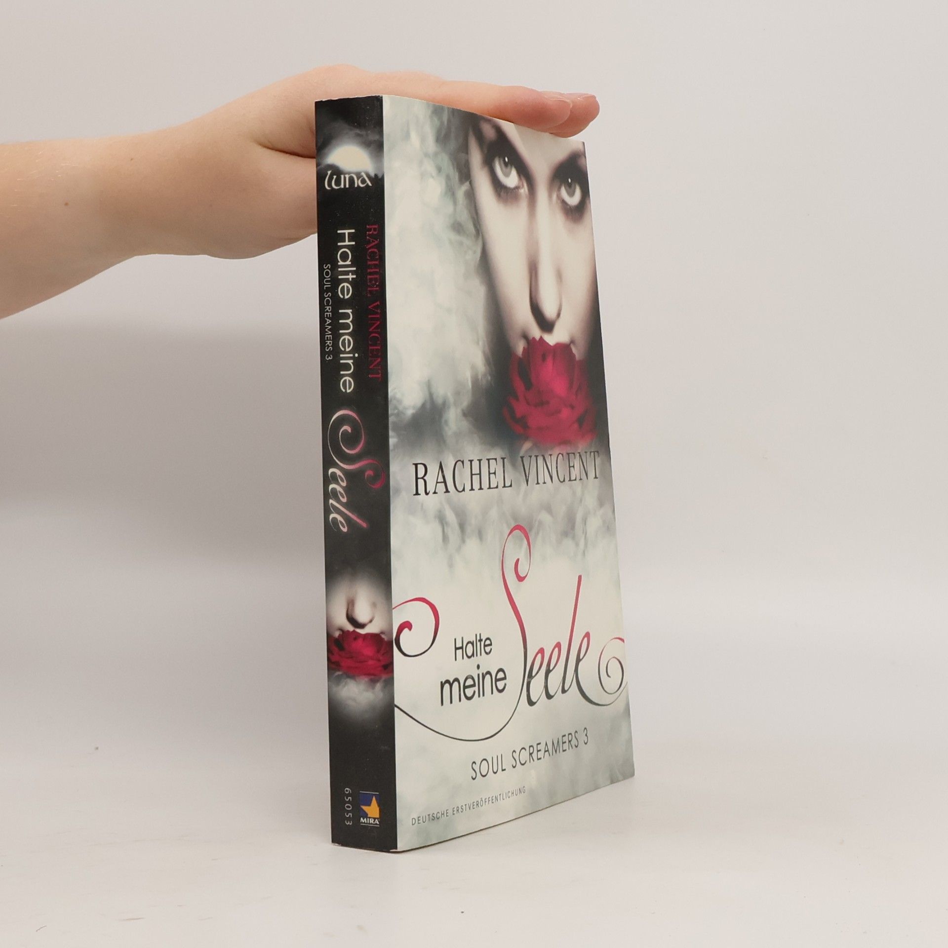 Rachel Vincent Soul Screamers - Halte meine Seele. Reihenfolge Band 3