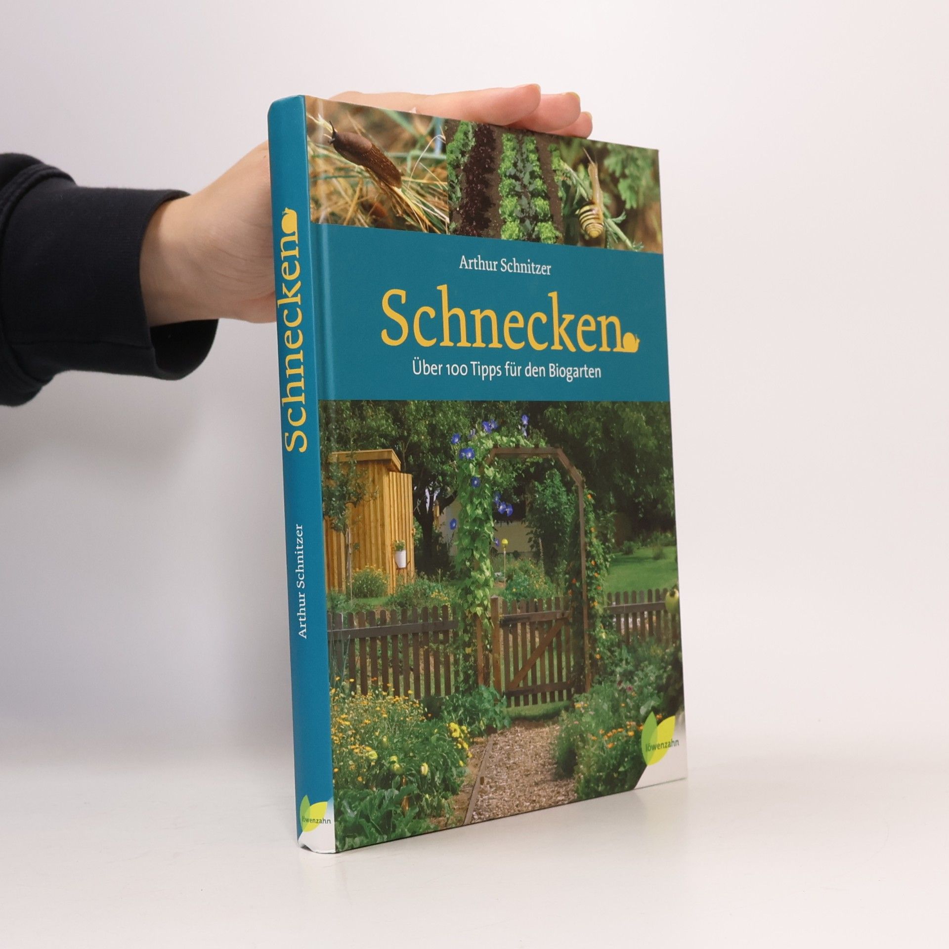 Schnecken