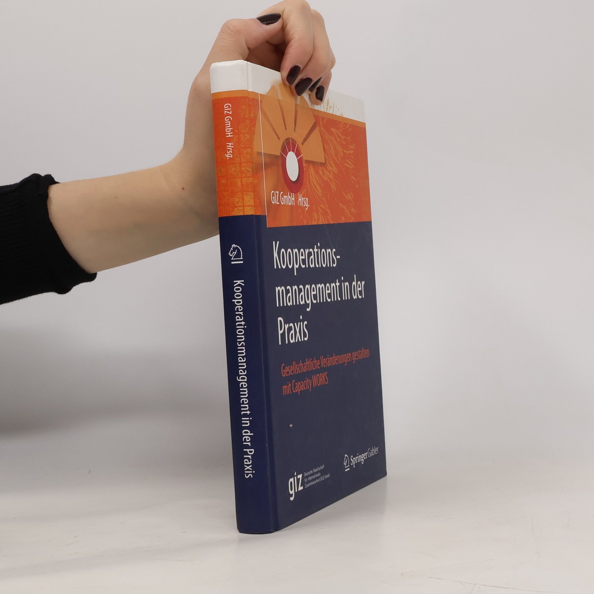 giz Deutsche Gesellschaft für Internationale Zusammenarbeit (GIZ) GmbH Kooperationsmanagement in der Praxis