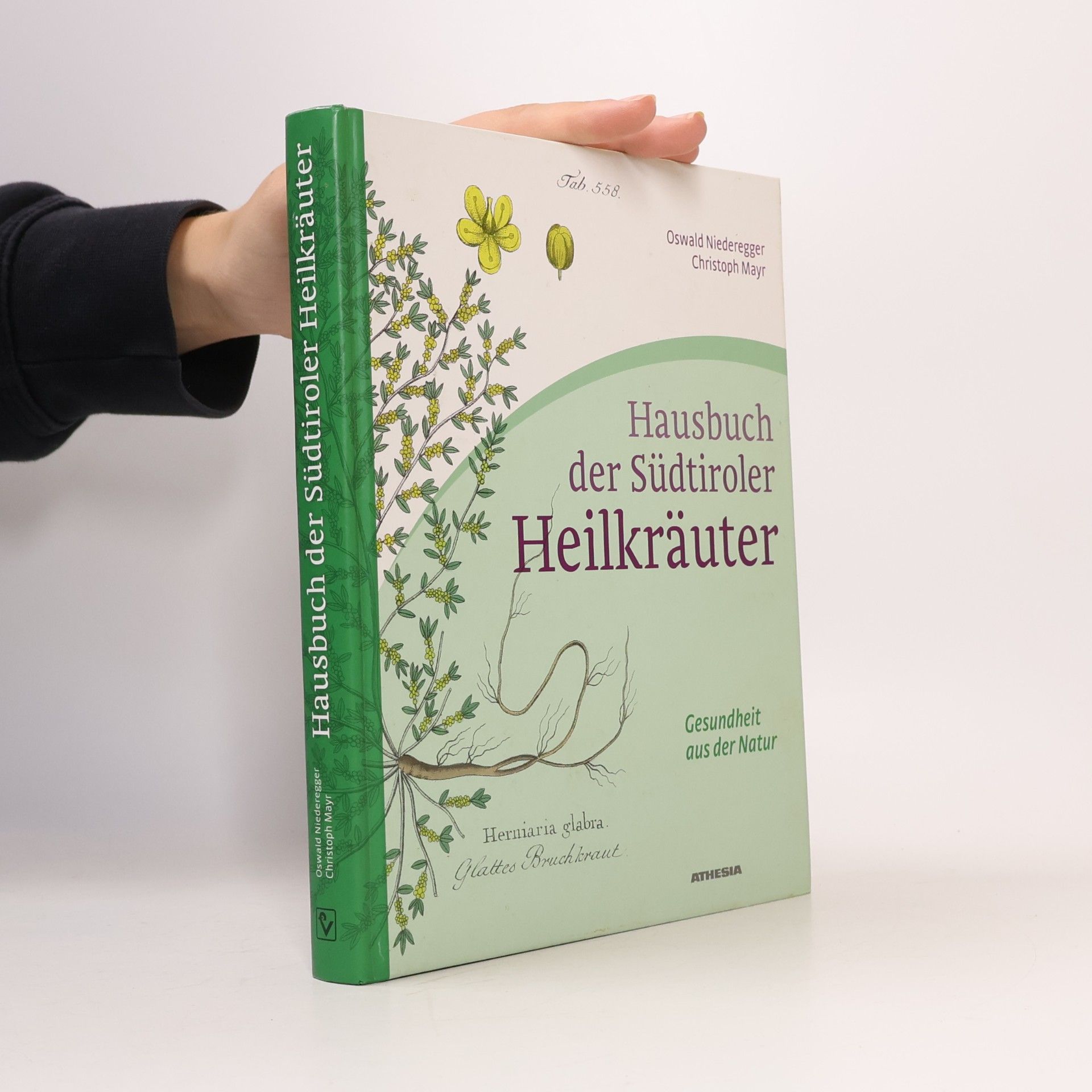 Oswald Niederegger Hausbuch der Südtiroler Heilkräuter: Gesundheit aus der Natur