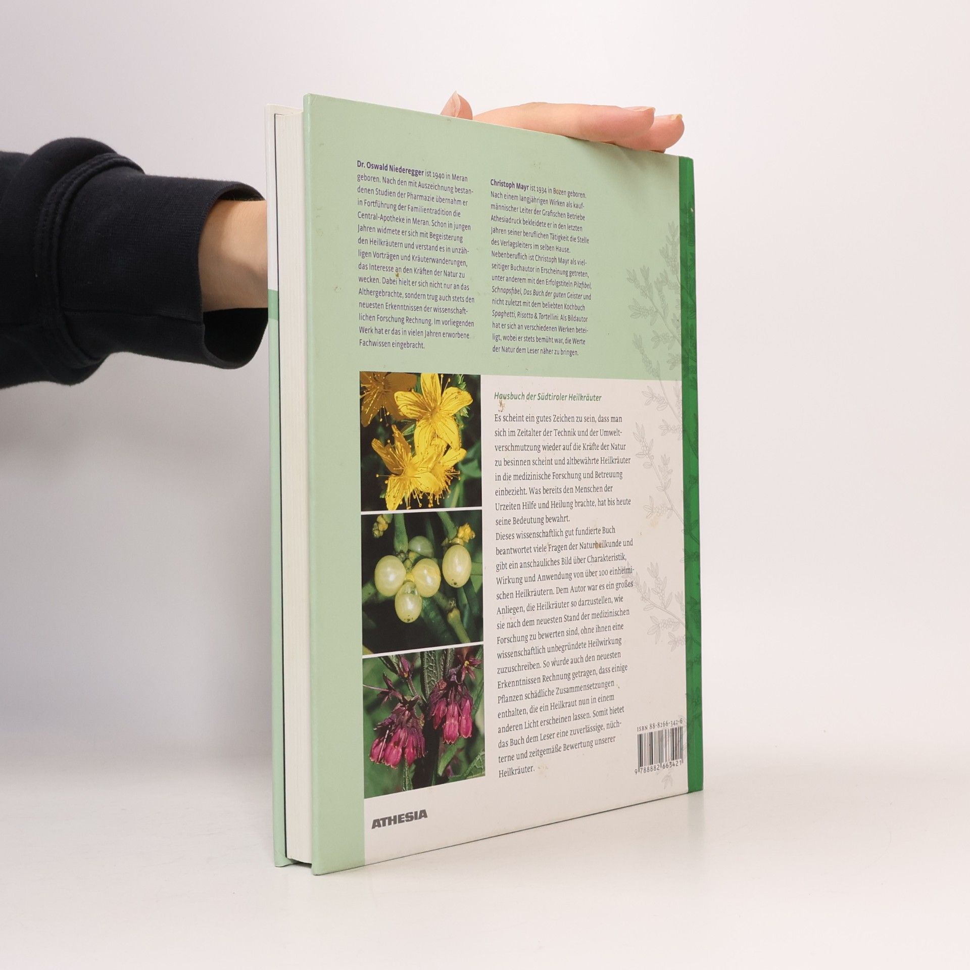 Oswald Niederegger Hausbuch der Südtiroler Heilkräuter: Gesundheit aus der Natur