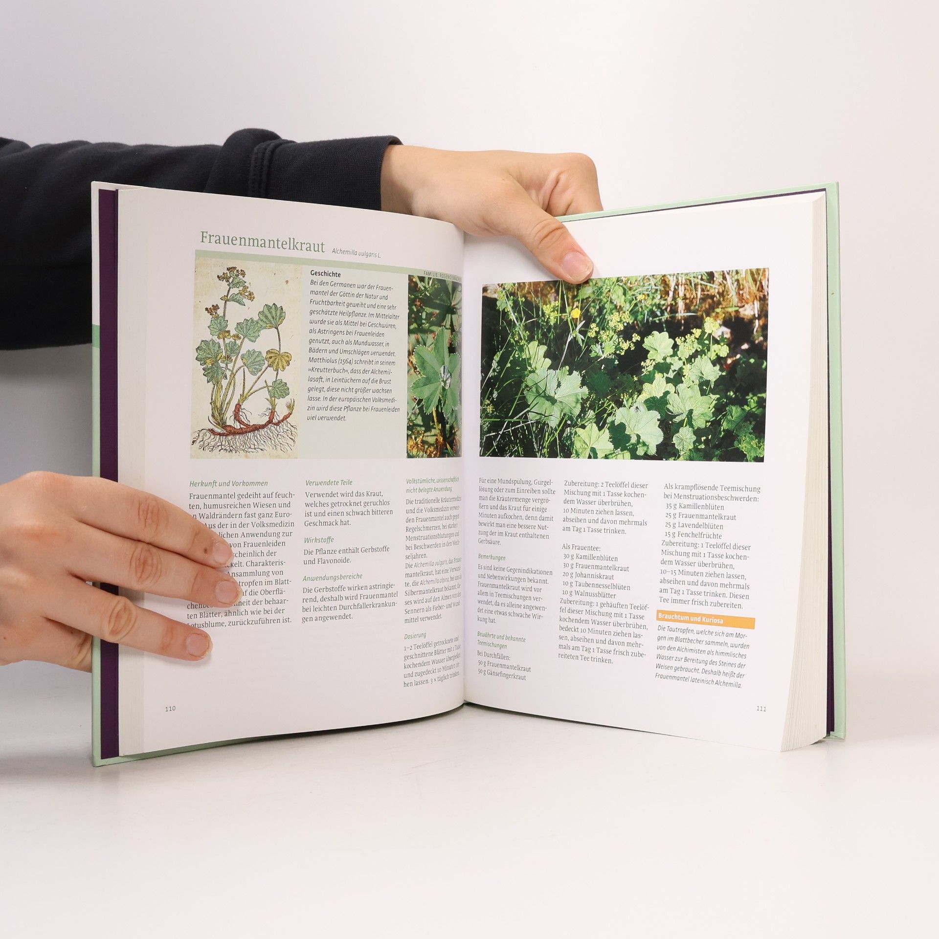 Oswald Niederegger Hausbuch der Südtiroler Heilkräuter: Gesundheit aus der Natur