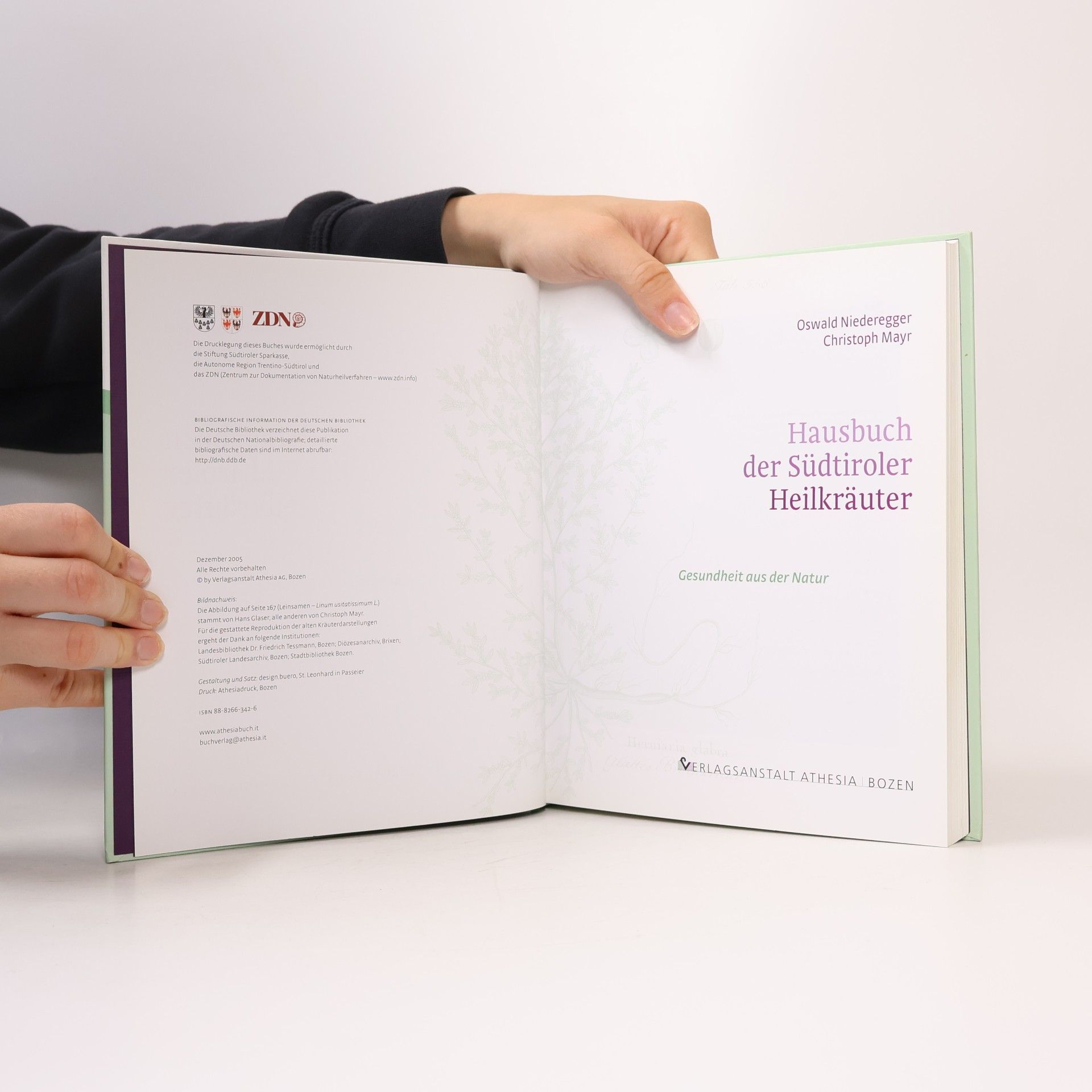 Oswald Niederegger Hausbuch der Südtiroler Heilkräuter: Gesundheit aus der Natur