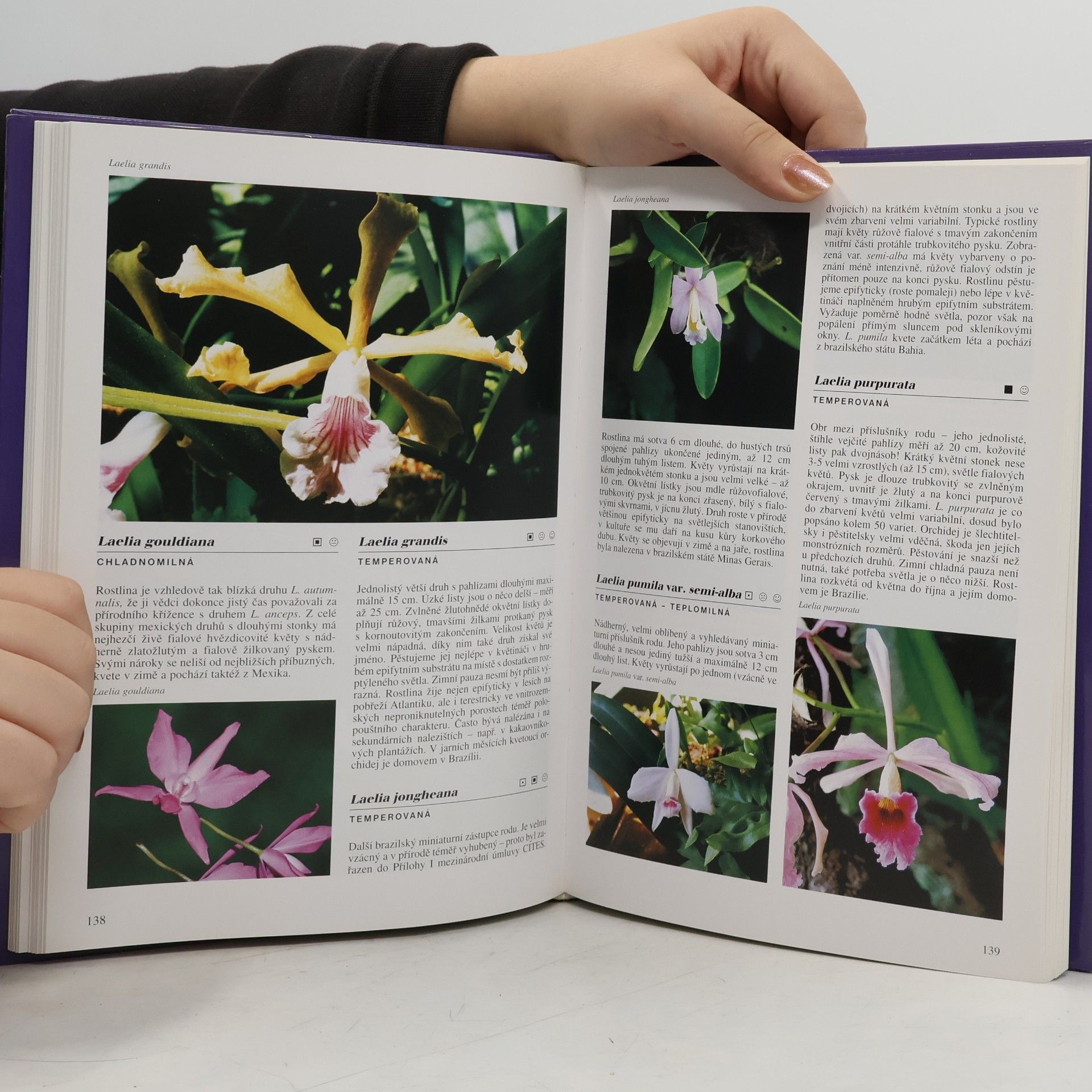 Zdeněk Ježek Encyklopedie orchidejí
