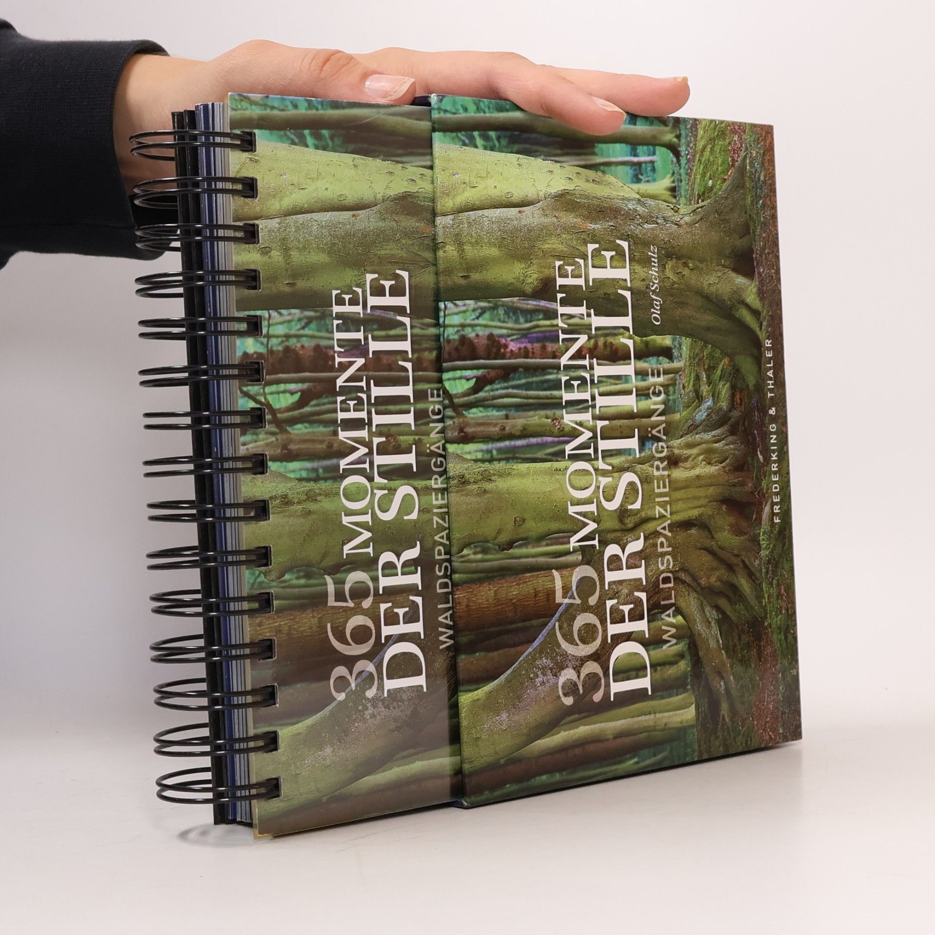 Olaf Schulz Tischaufsteller 365 Momente der Stille: Waldspaziergänge