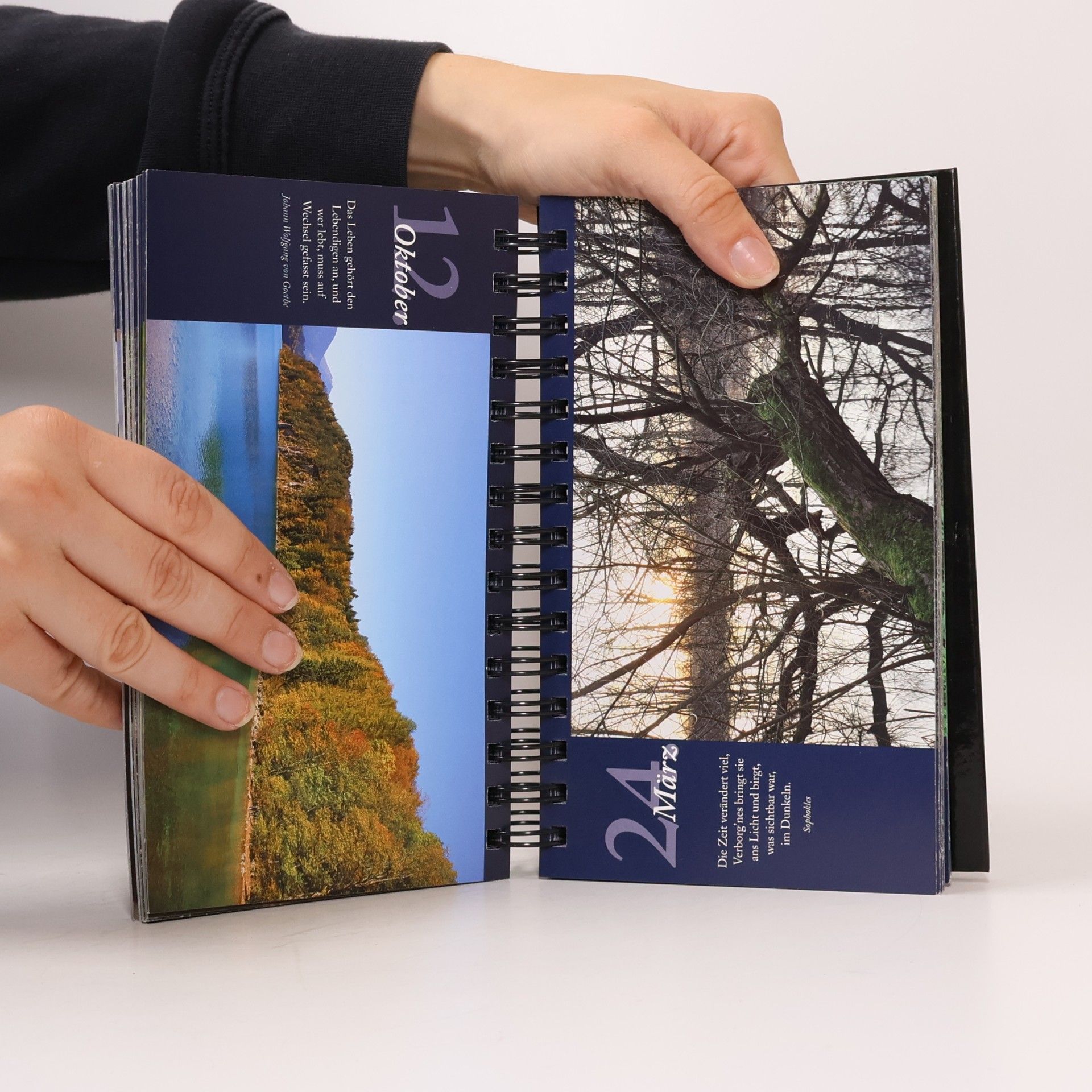 Olaf Schulz Tischaufsteller 365 Momente der Stille: Waldspaziergänge