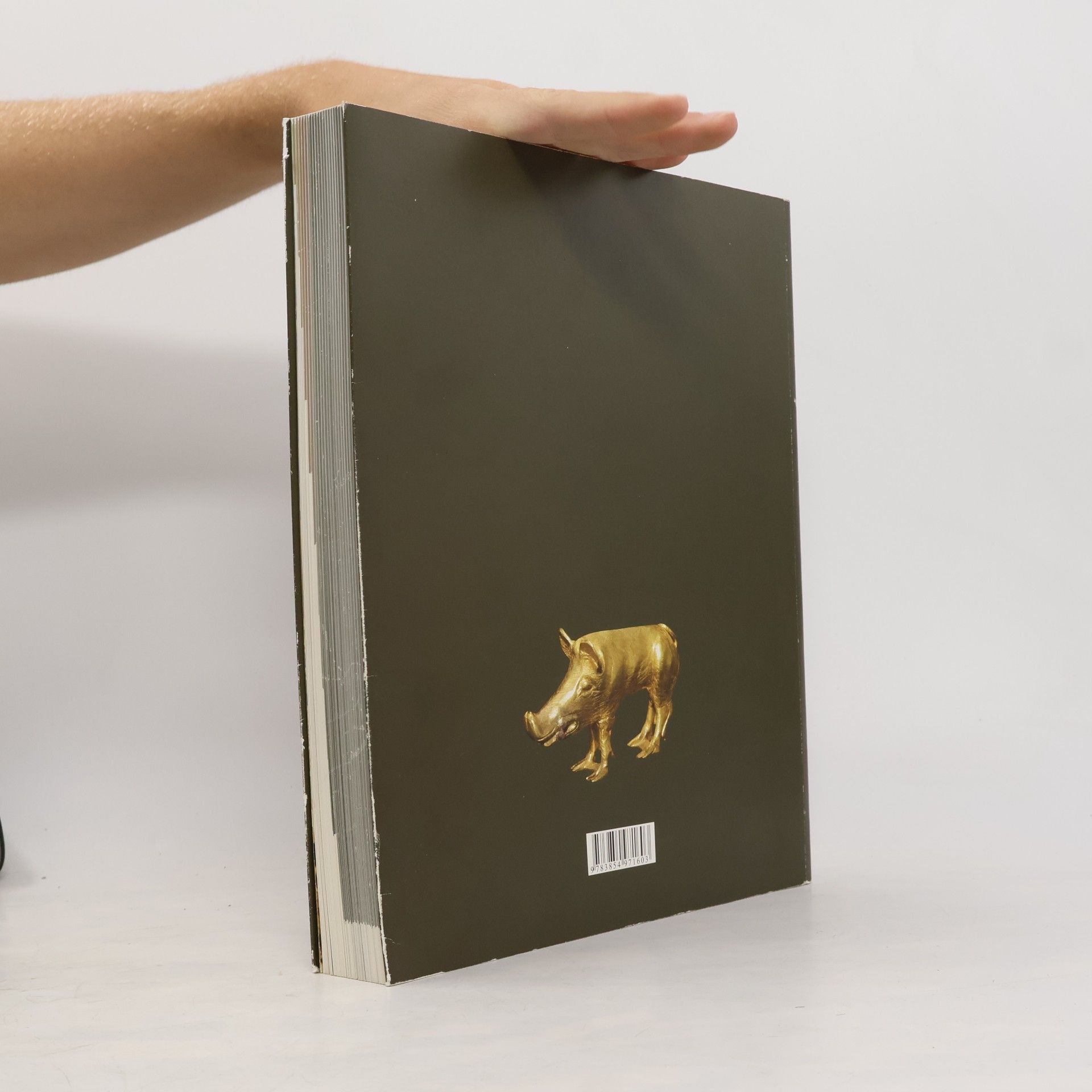 M. E. Filimonova Gold der Steppe