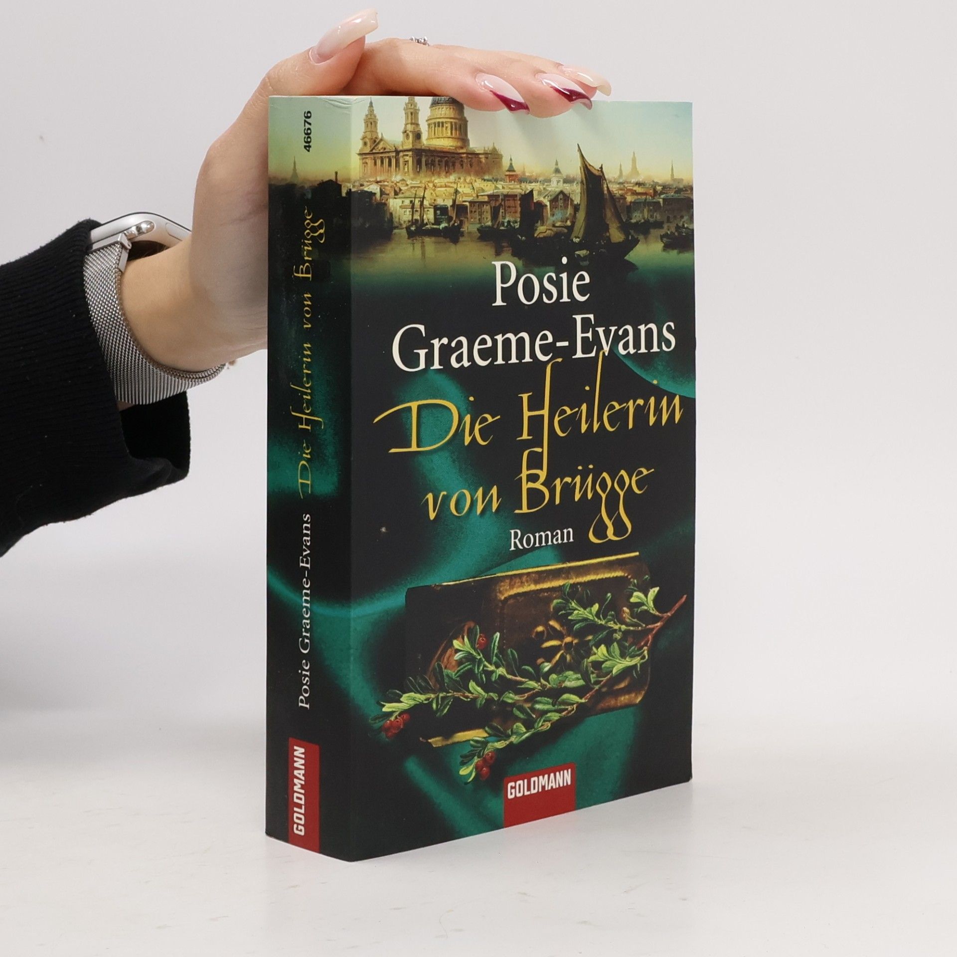 Posie Graeme-Evans Die Heilerin von Brügge