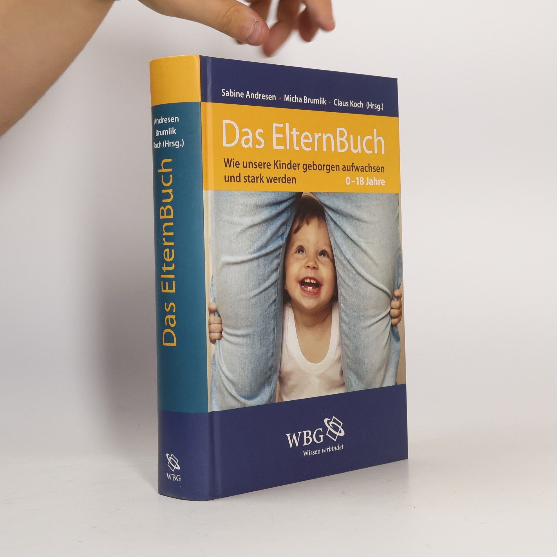 Sabine Andresen Das ElternBuch