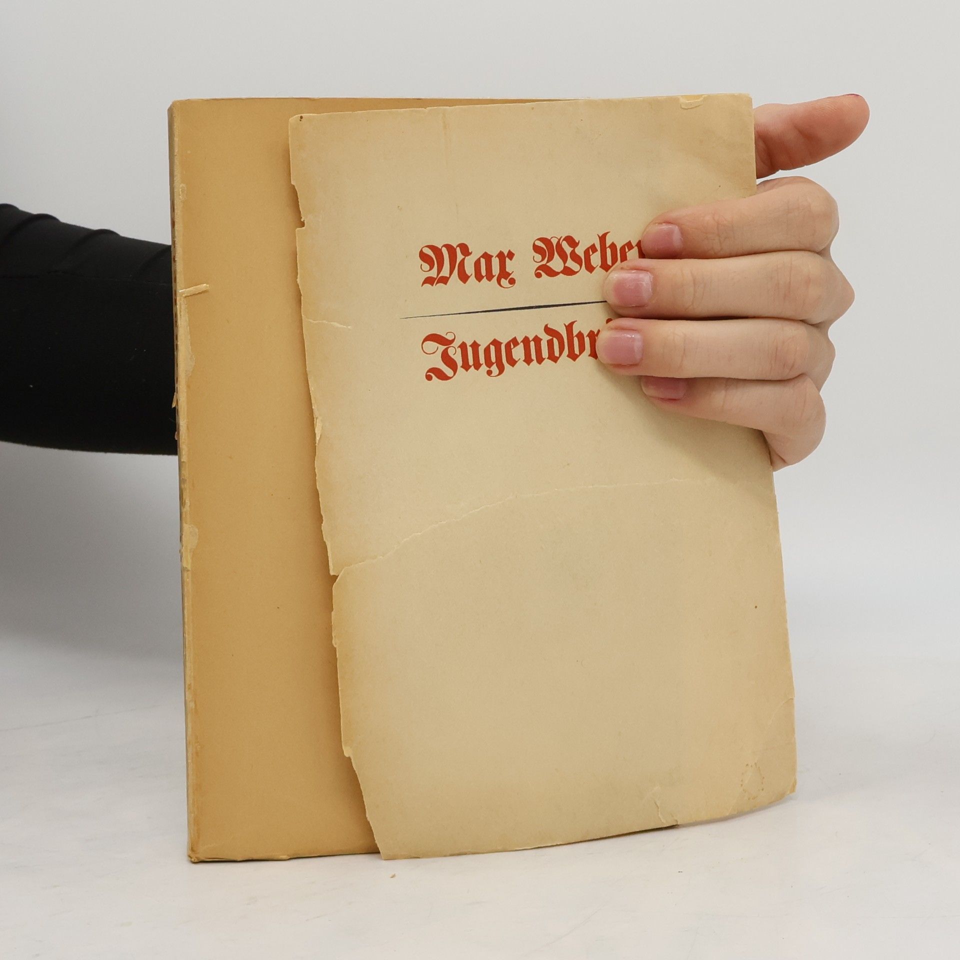 Max Weber Jugendbriefe