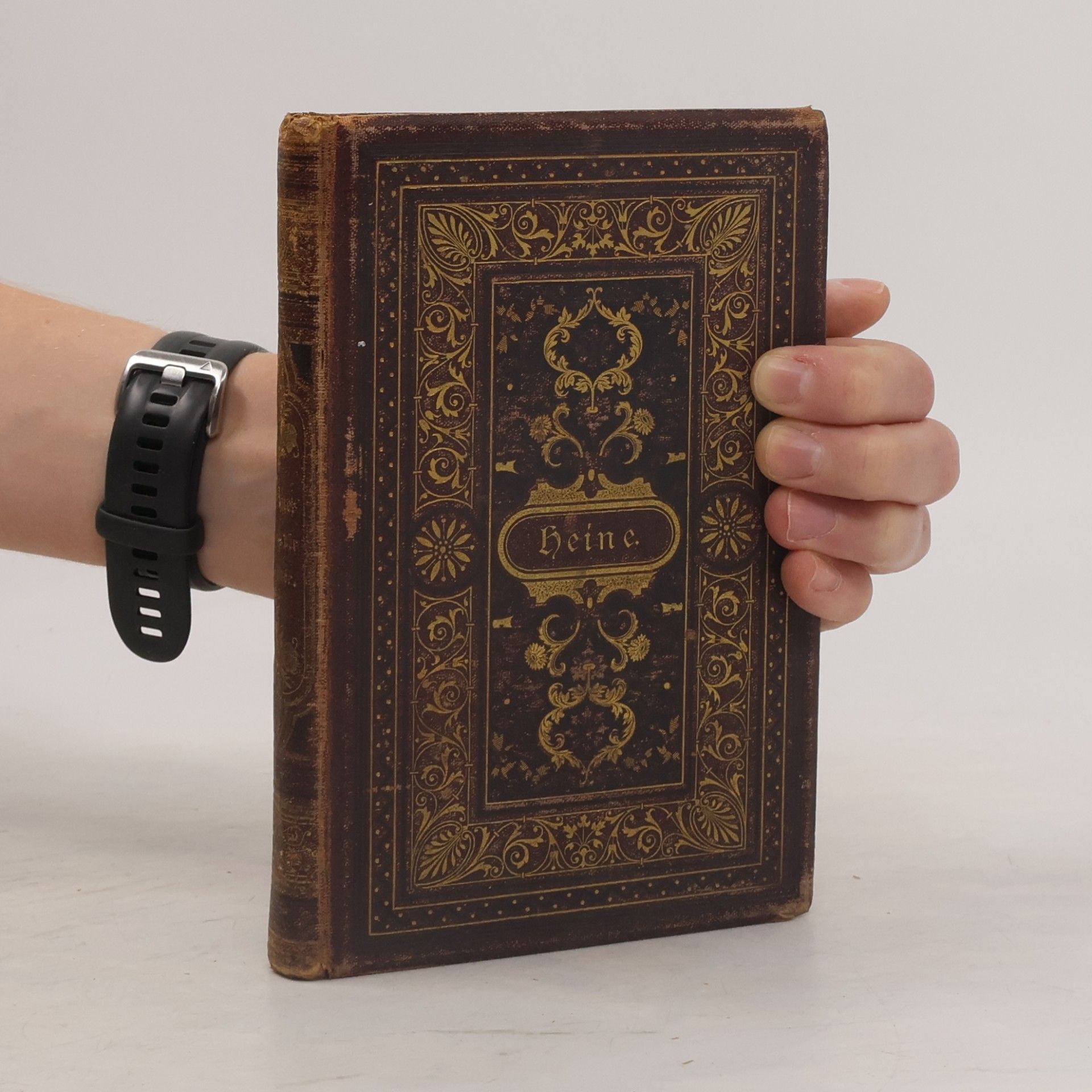 Heinrich Heine Poetische Werke