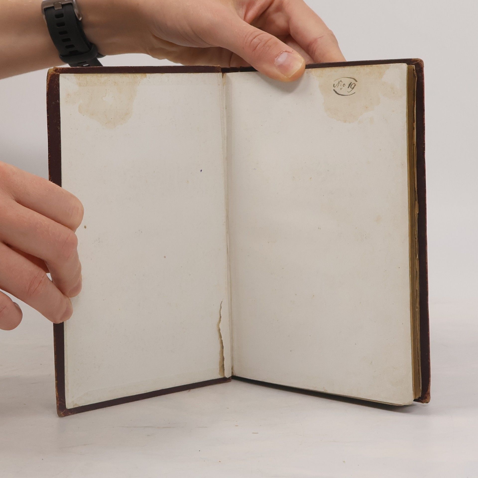 Heinrich Heine Poetische Werke