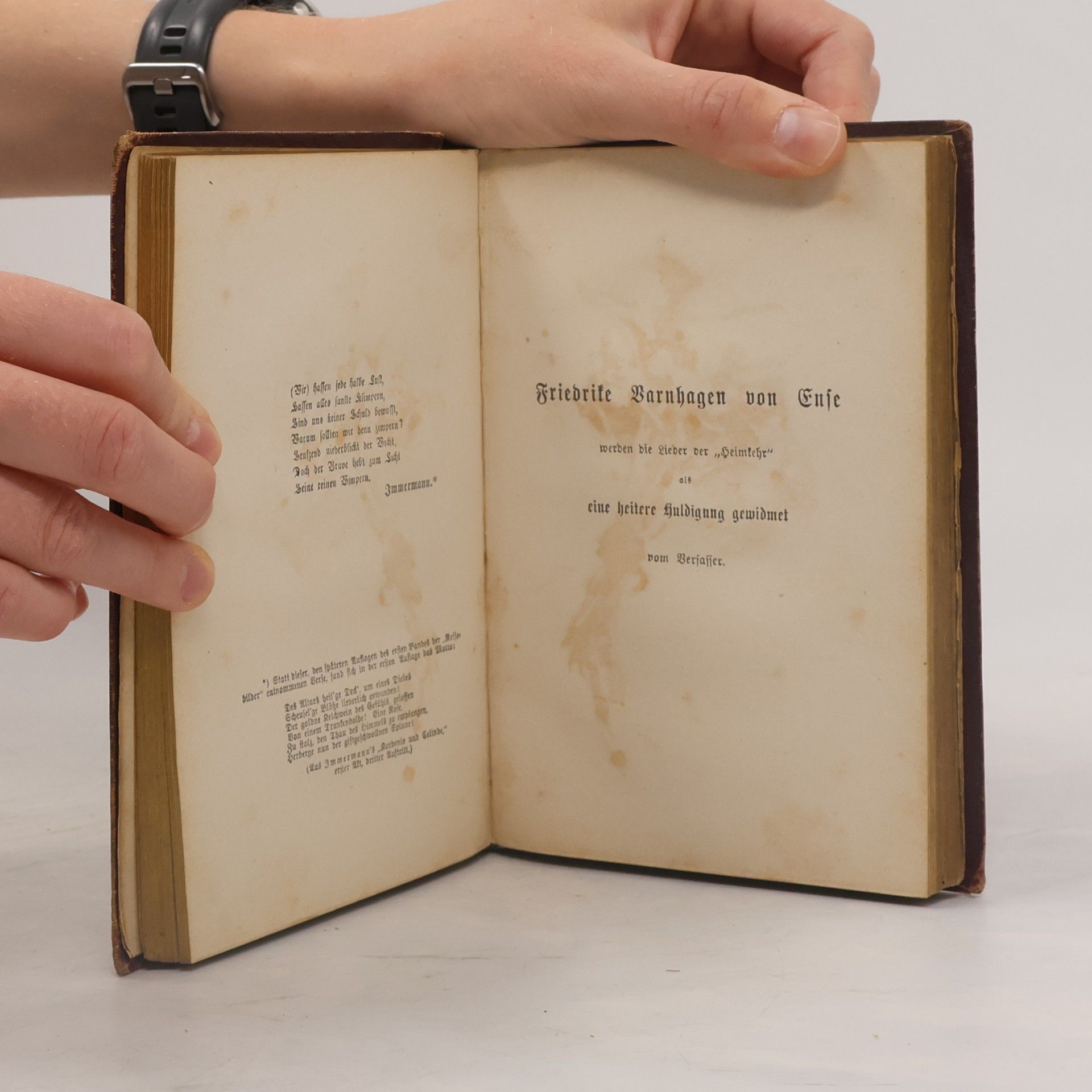 Heinrich Heine Poetische Werke