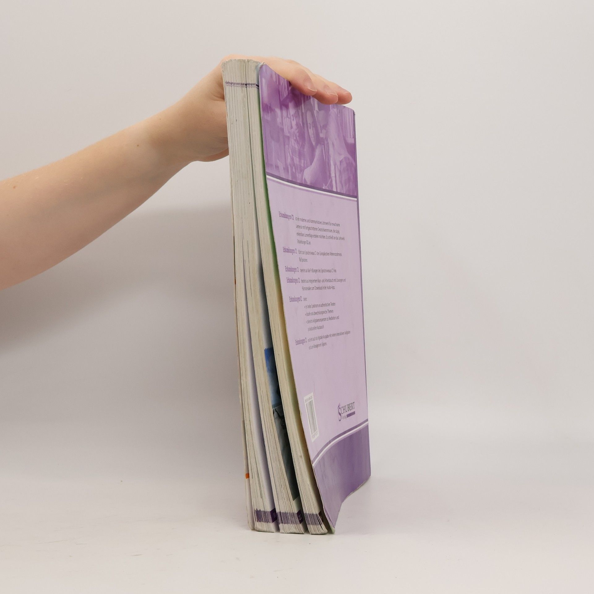Anne Buscha Erkundungen Deutsch als Fremdsprache C1: Integriertes Kurs- und Arbeitsbuch