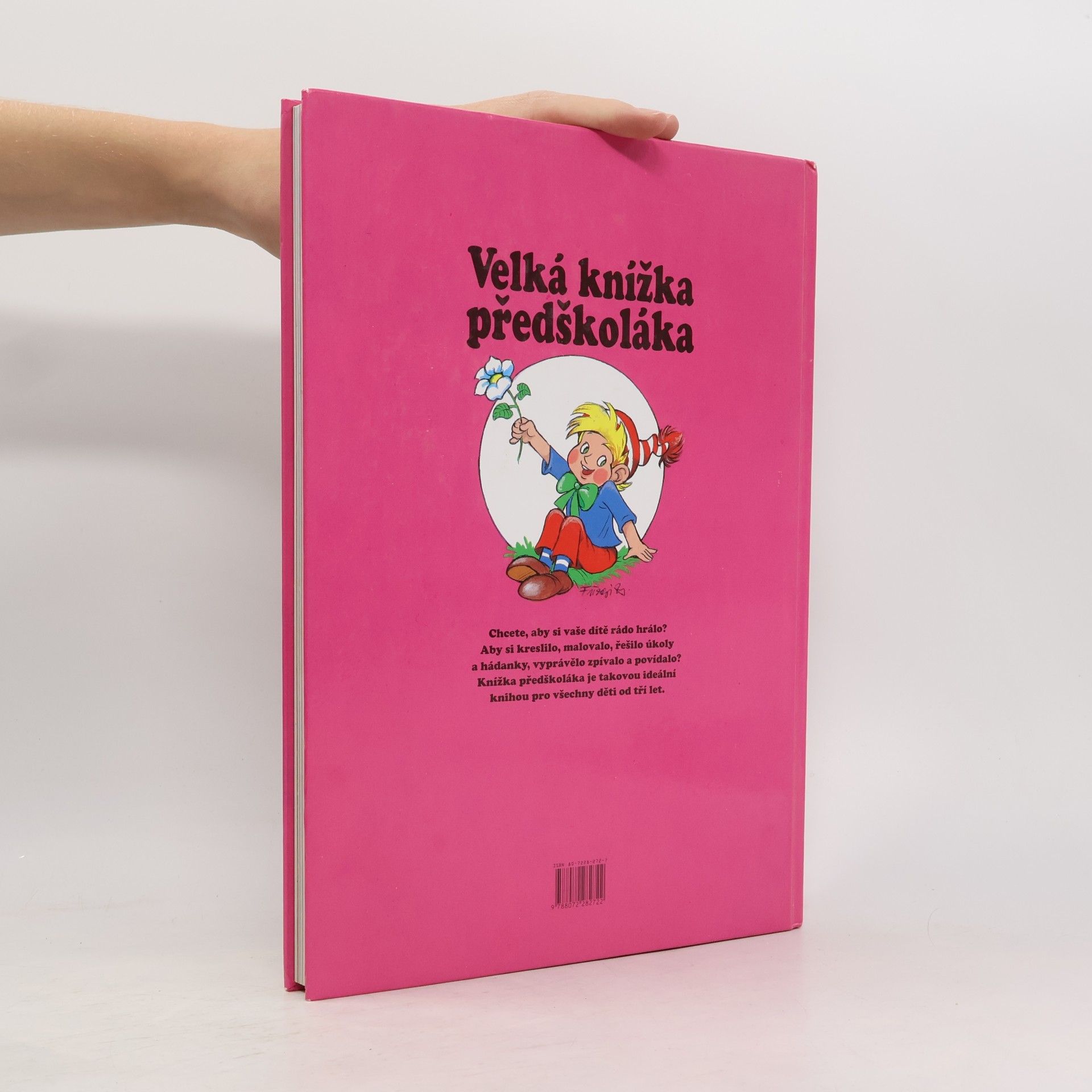 Zsuzsa Füzesi Velká knížka předškoláka : země divů