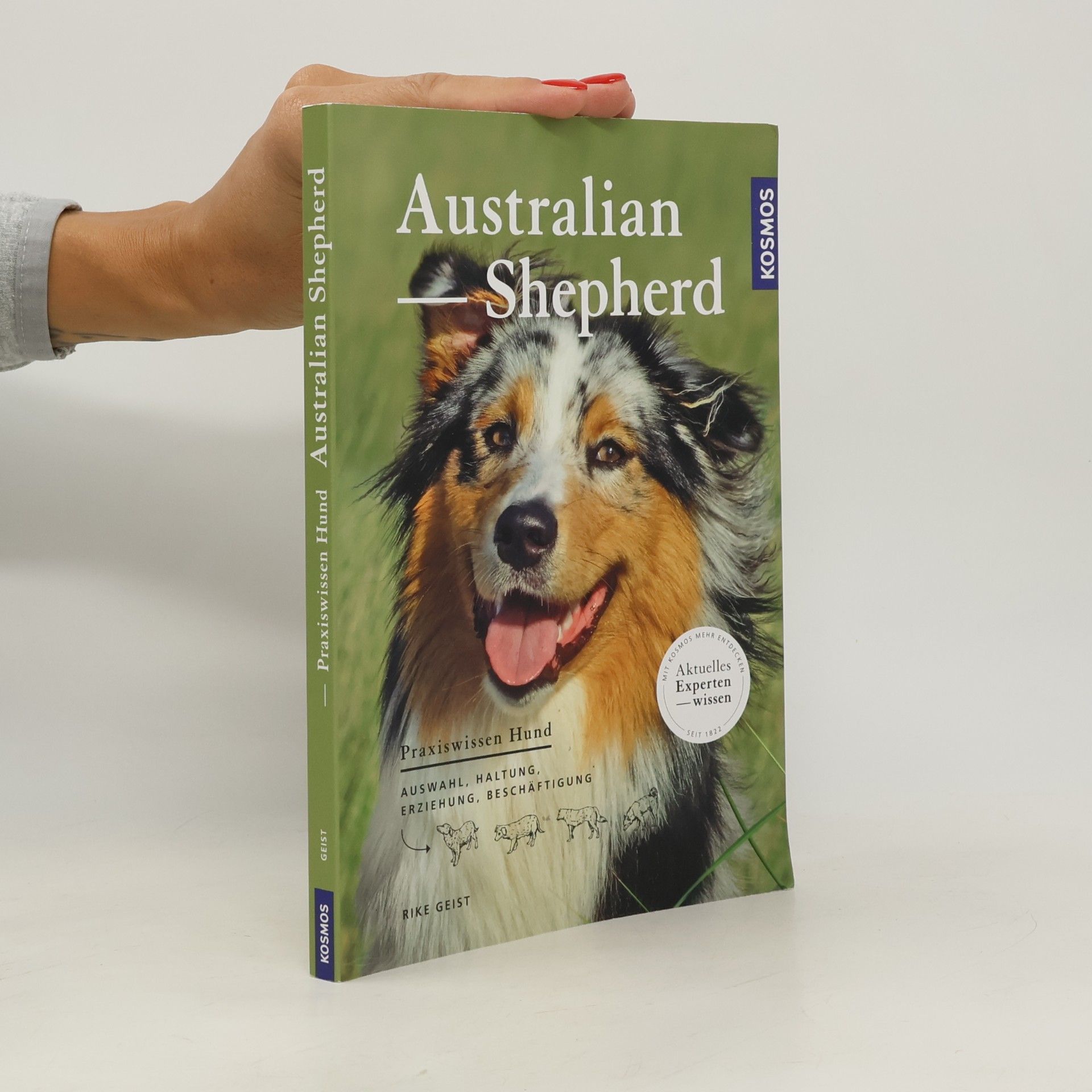 Rike Geist Australian Shepherd