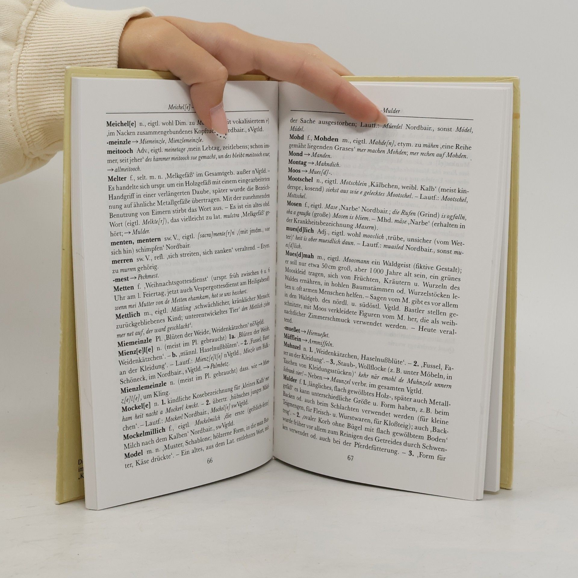 Günter Bergmann Kleines vogtländisches Wörterbuch