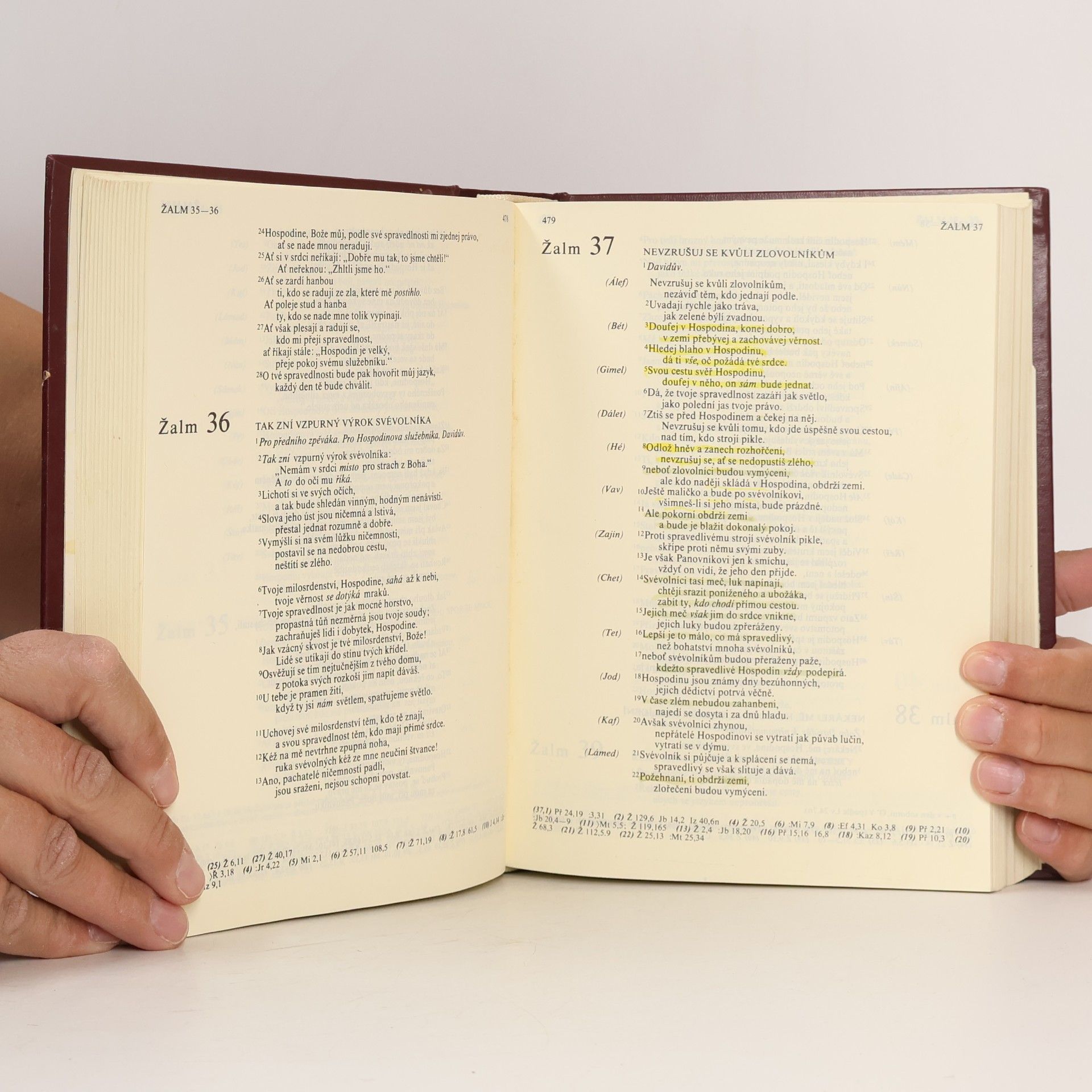 František Tomášek Bible