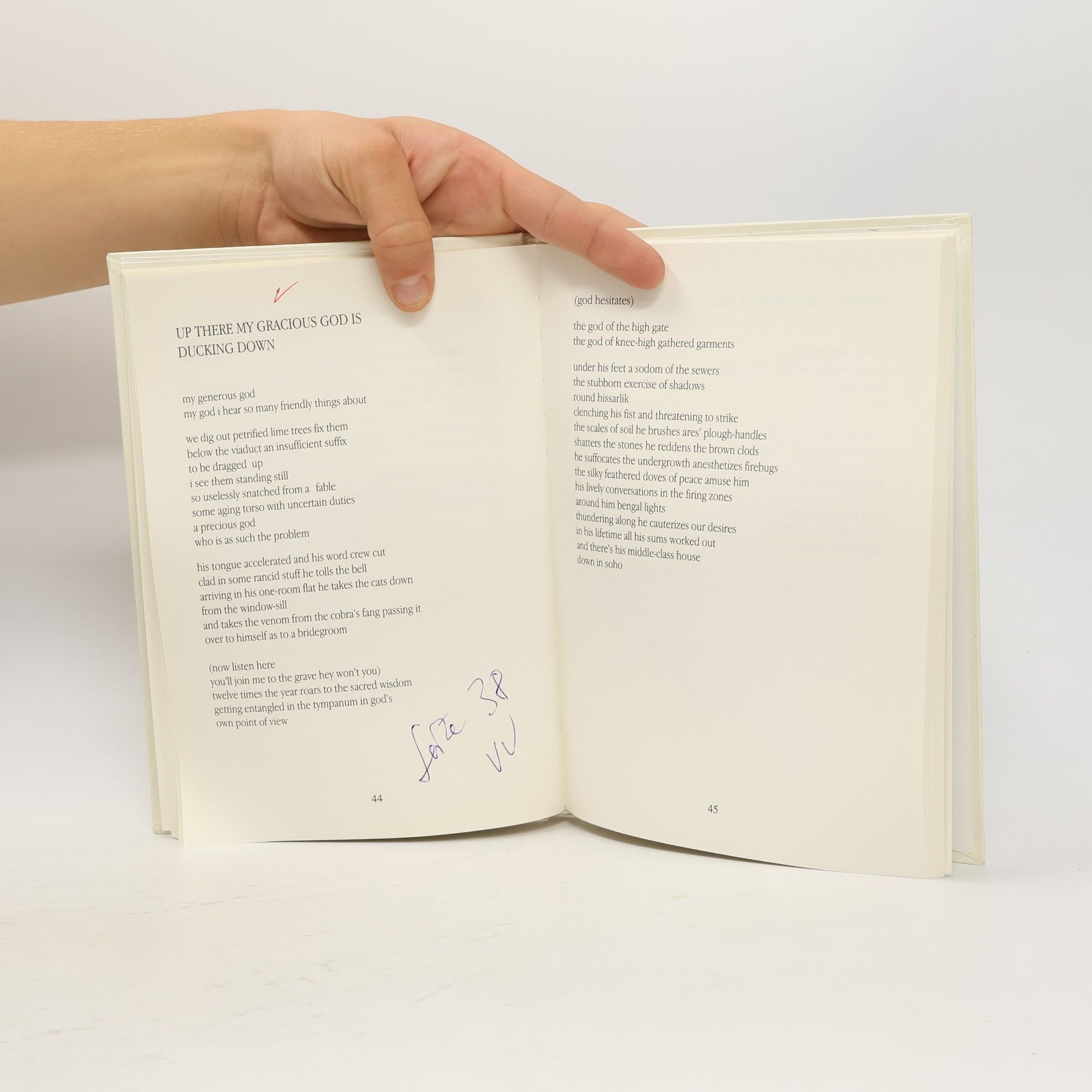 Wolfgang Mayer Behind Desires Deficits