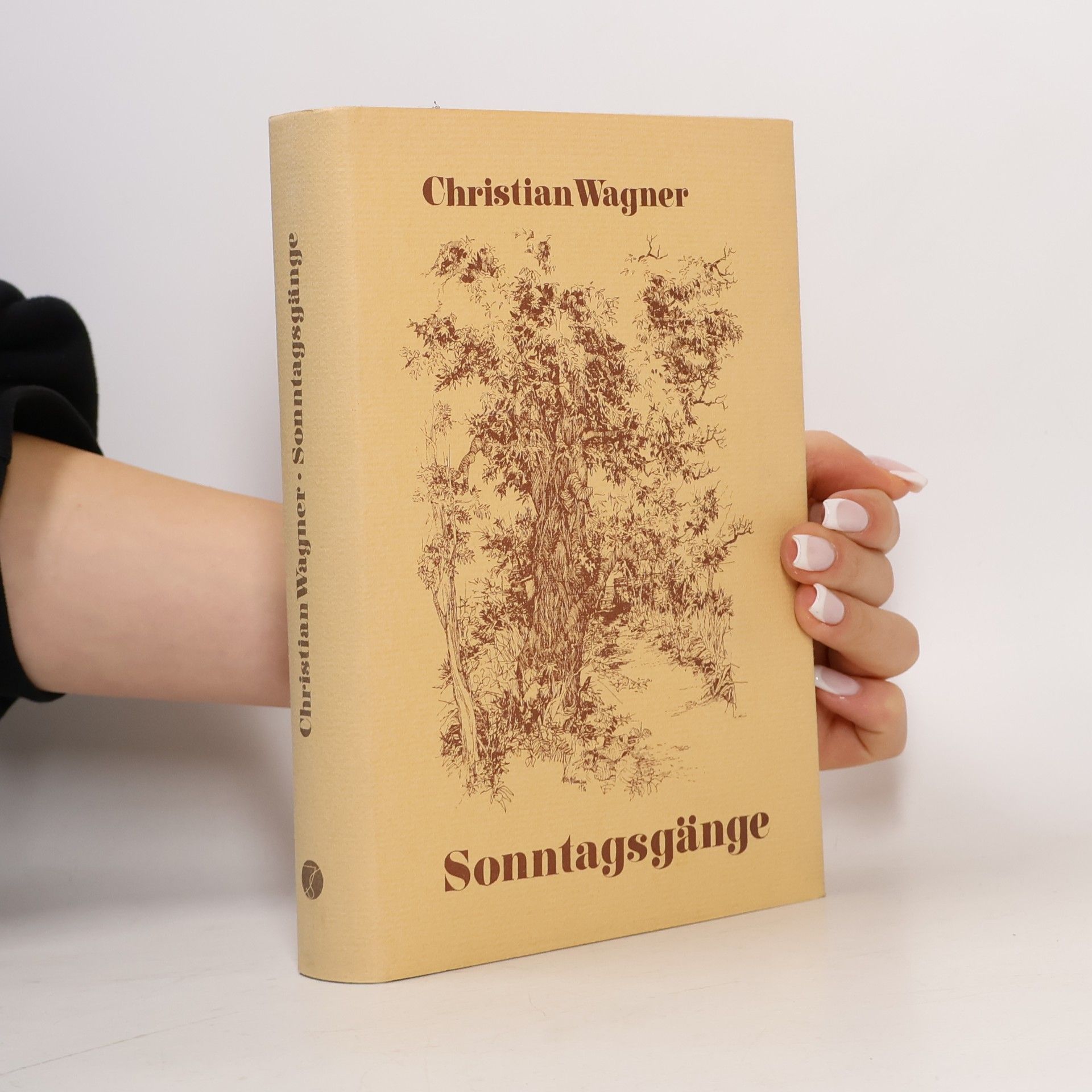 Sonntagsgänge
