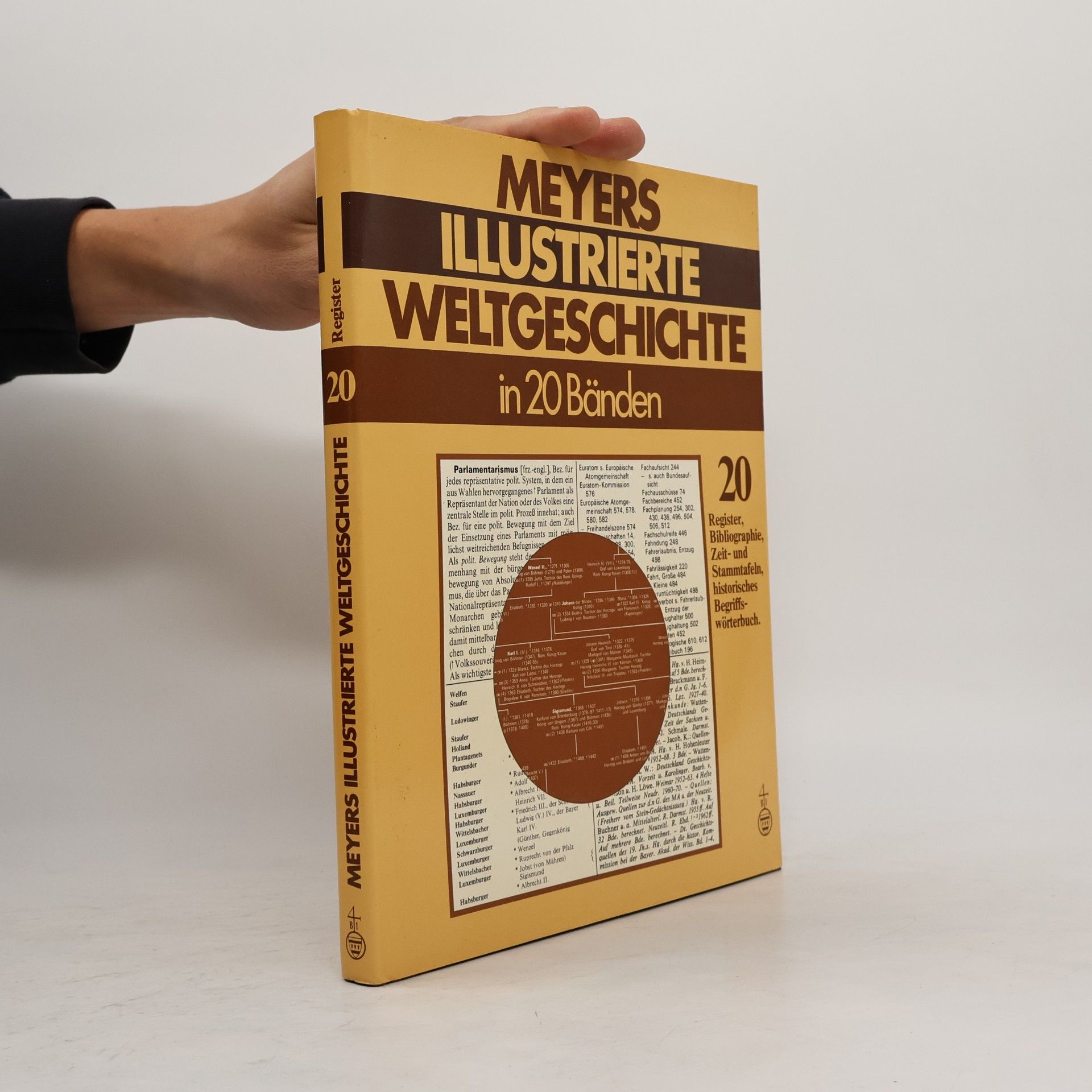 Meyers Illustrierte Weltgeschichte 20