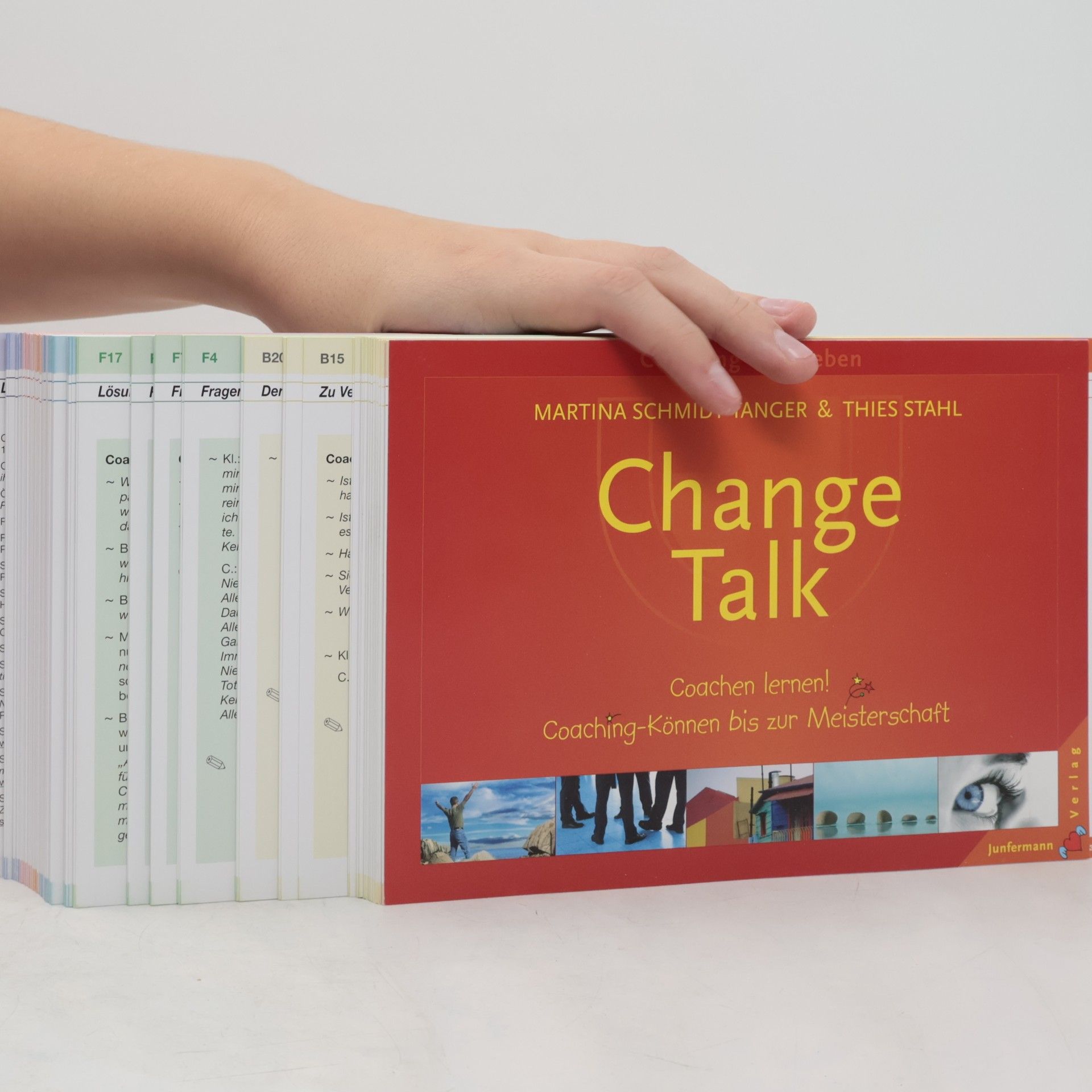 Martina Schmidt-Tanger Change talk
