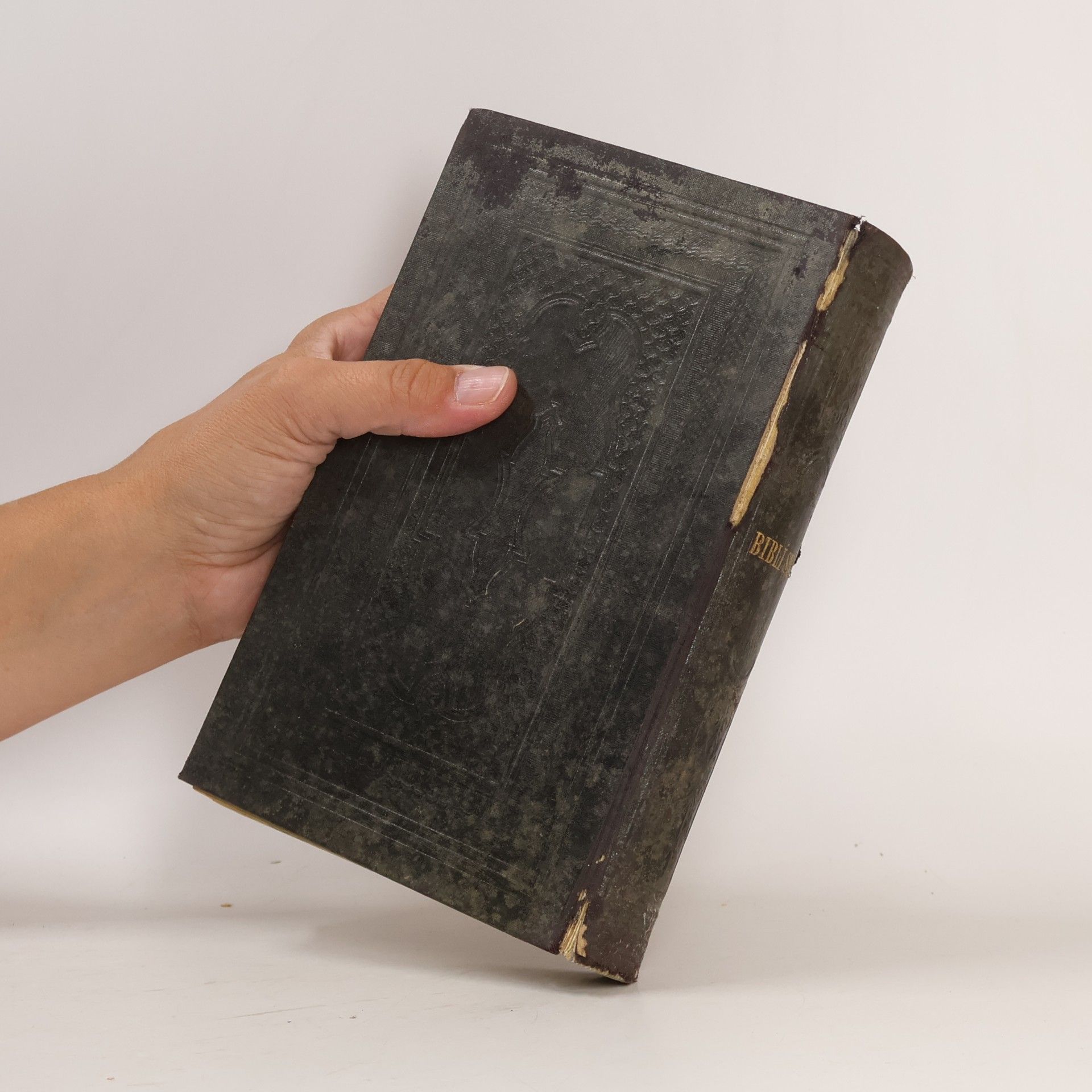 Autorenkollektiv Biblí svatá