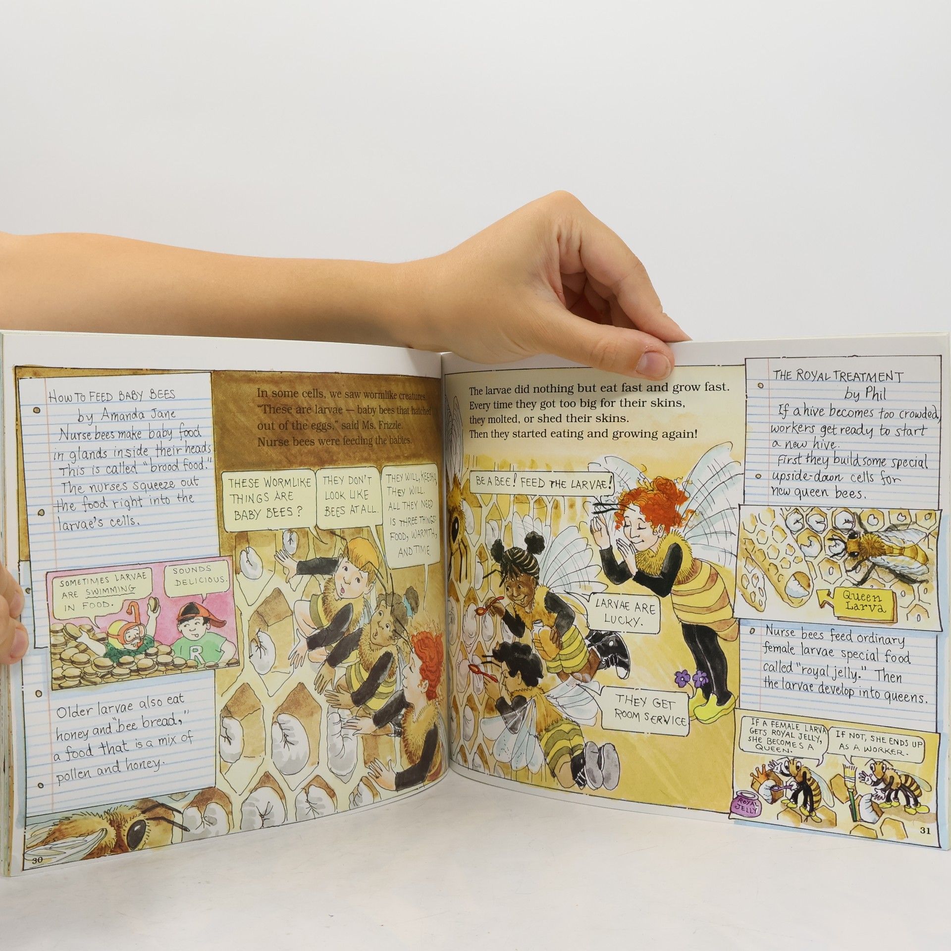 Joanna Cole The Magic School Bus Inside a Beehive