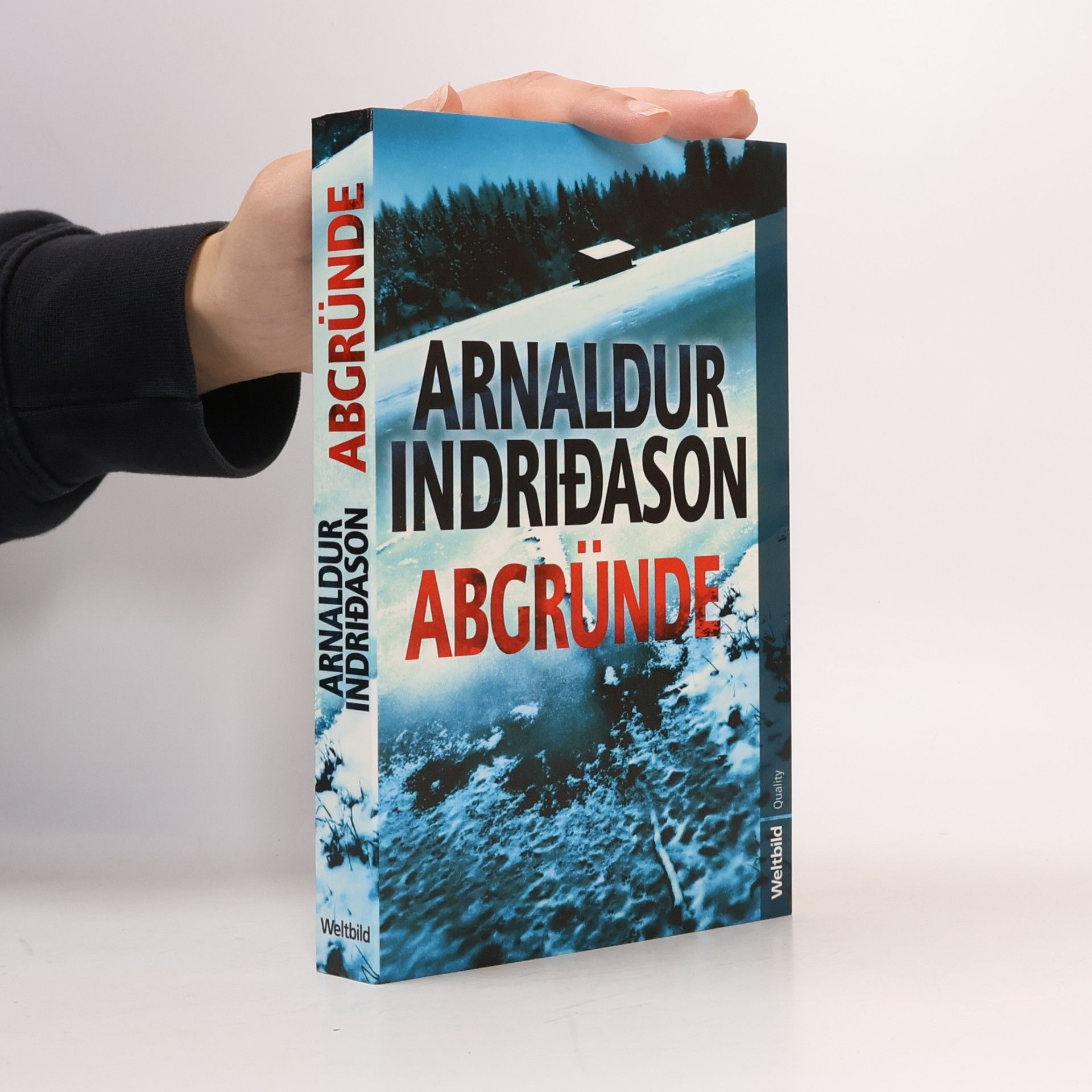 Arnaldur Indriðason Abgründe