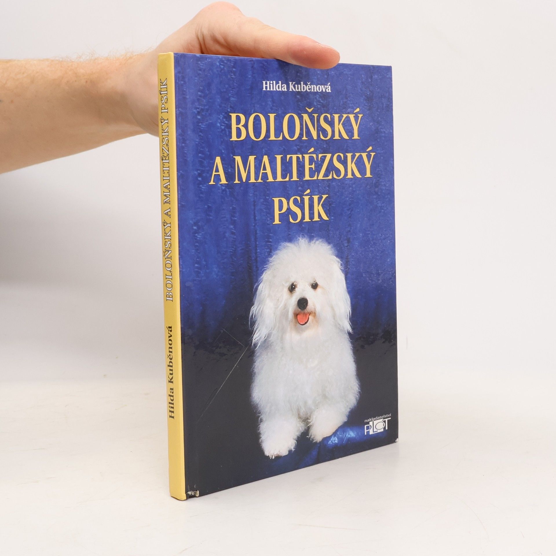 Hilda Kuběnová Boloňský a maltézský psík