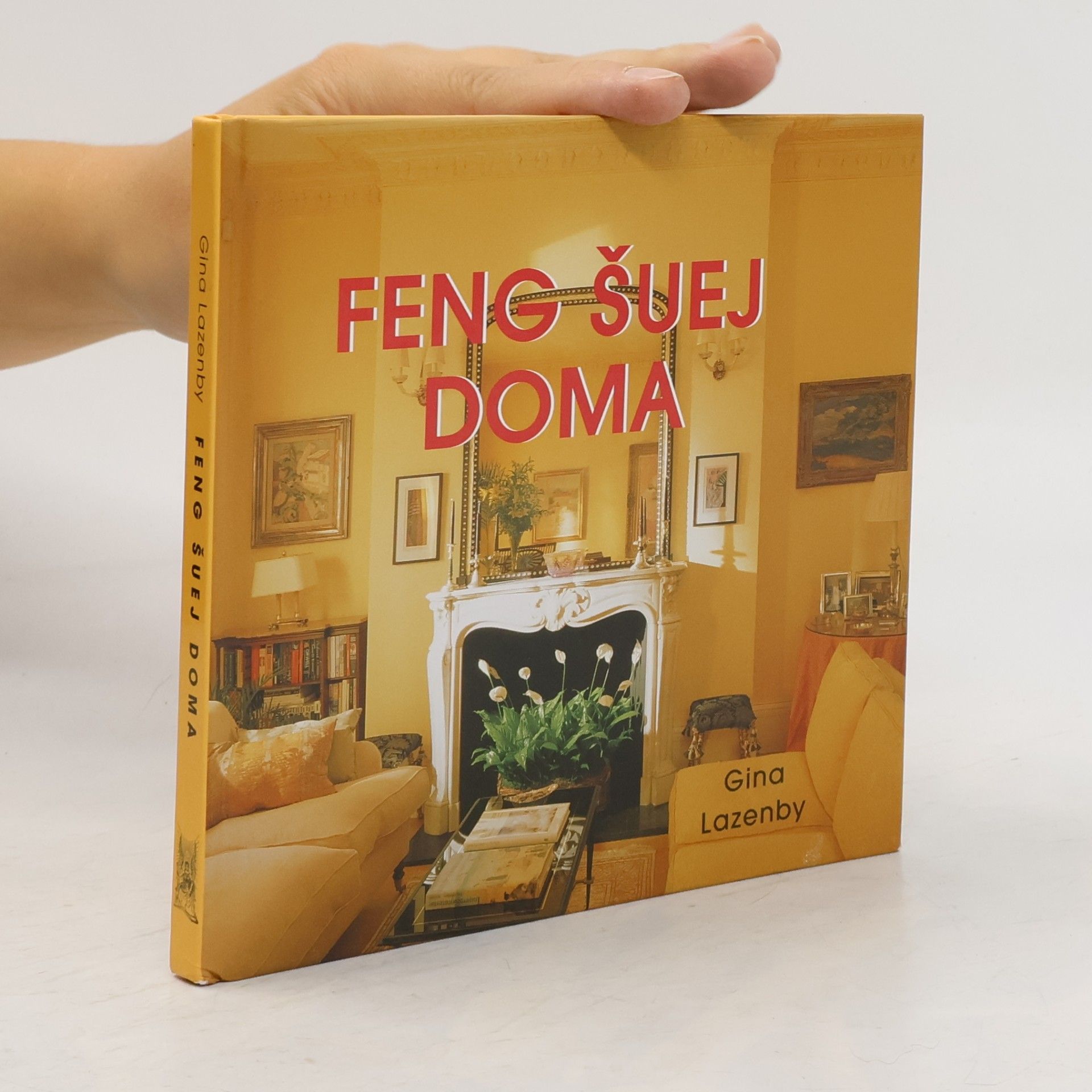 Feng šuej doma