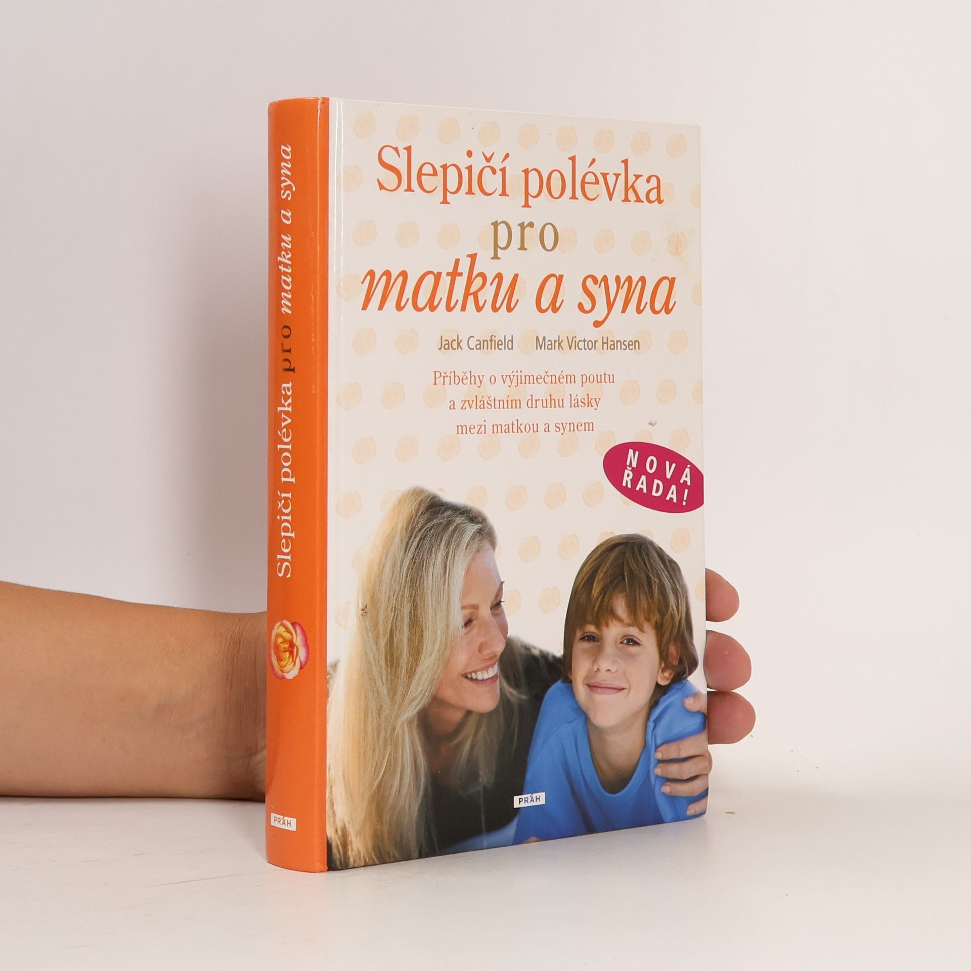 Mark Victor Hansen Slepičí polévka pro matku a syna