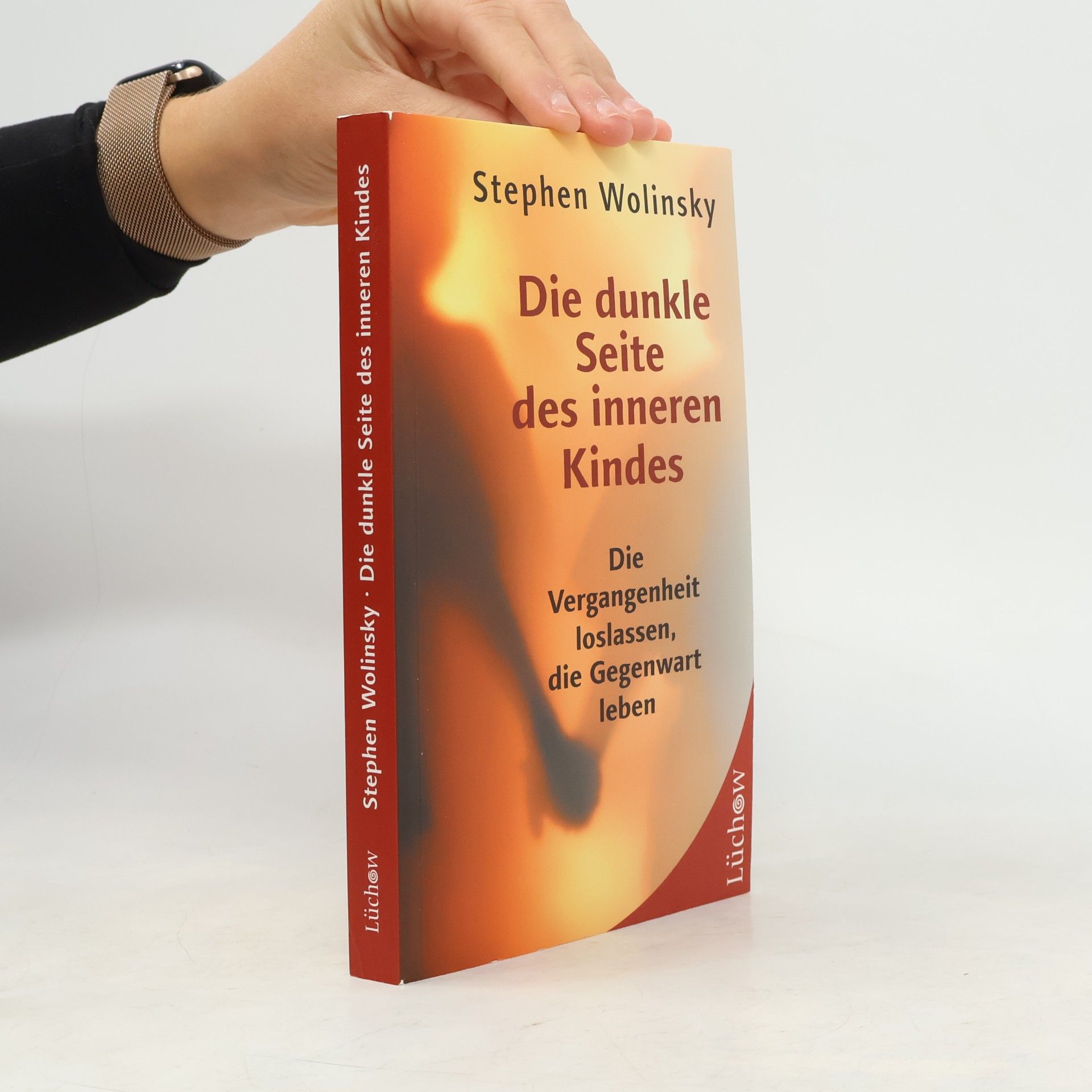 Stephen Wolinsky Die dunkle Seite des inneren Kindes