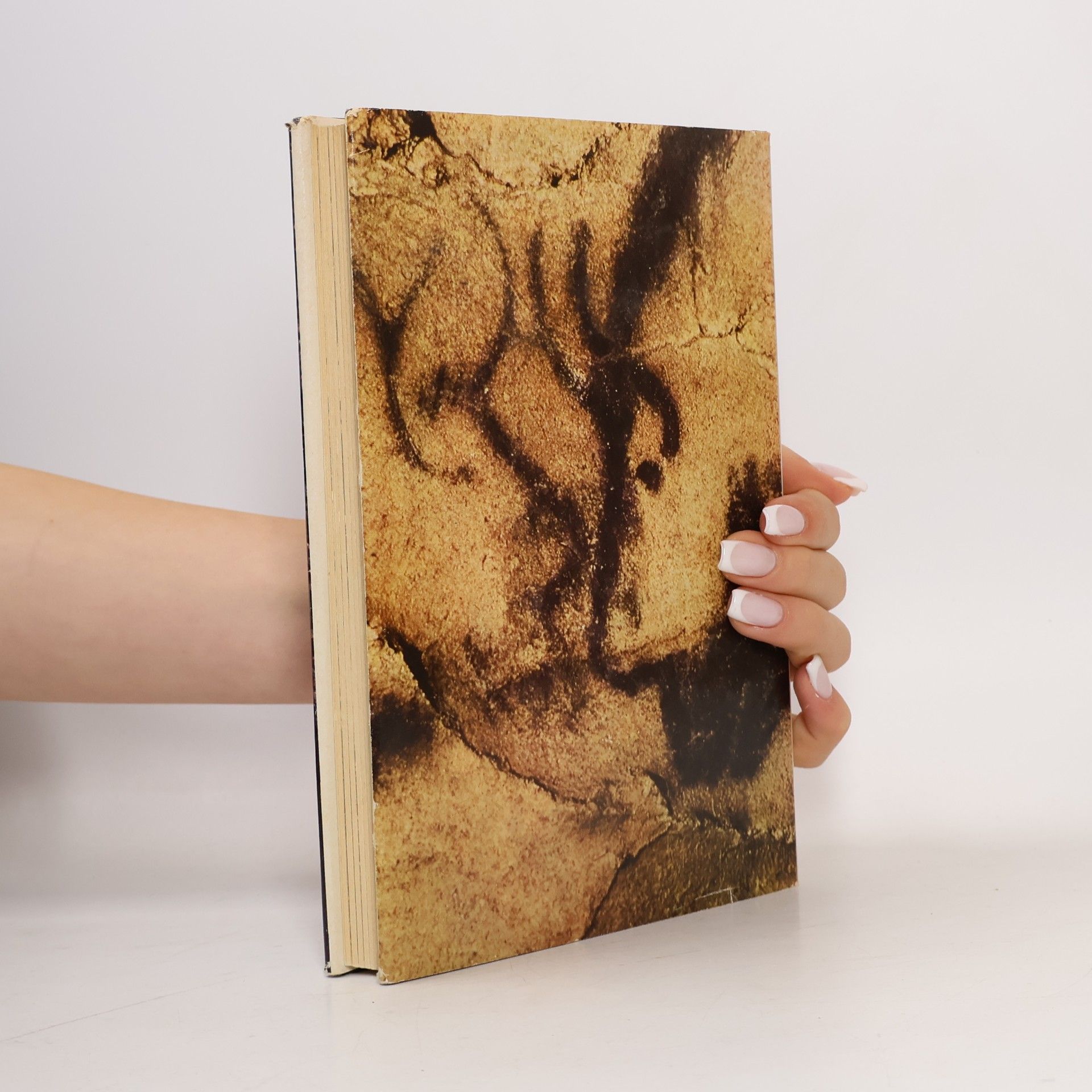 Hans Baumann Die Höhlen der großen Jäger