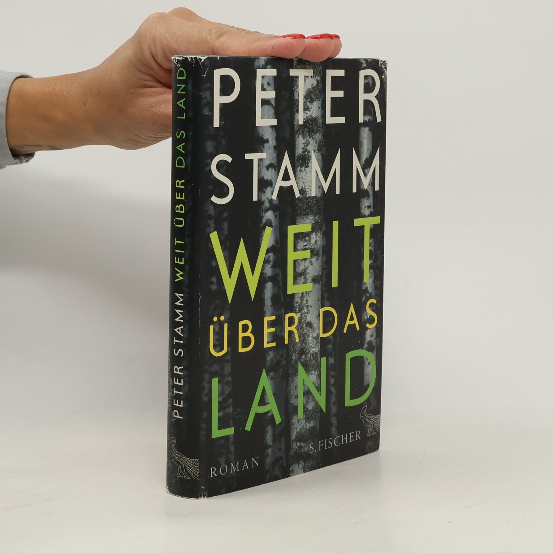 Peter Stamm Weit über das Land