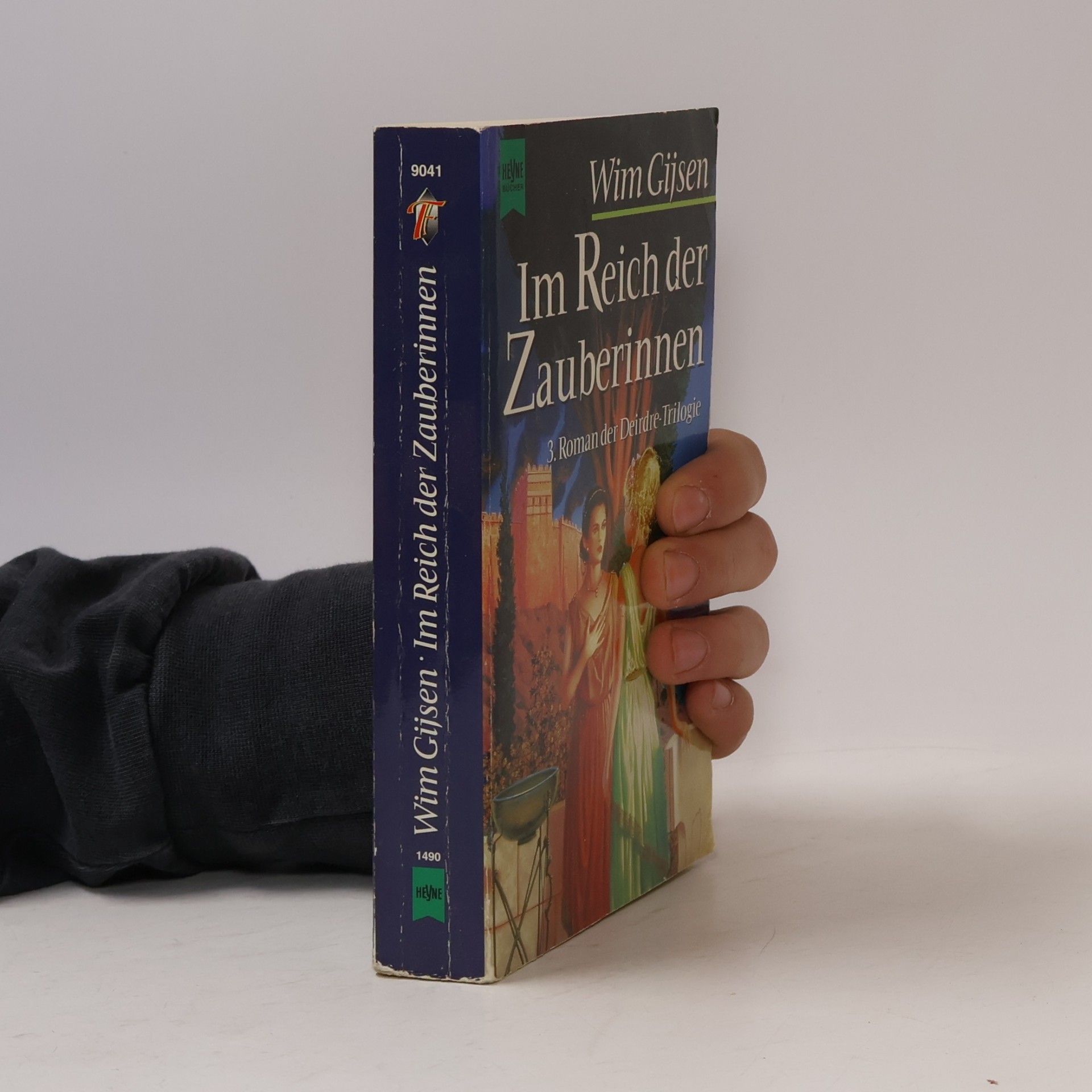 Wim Gijsen Im Reich der Zauberinnen