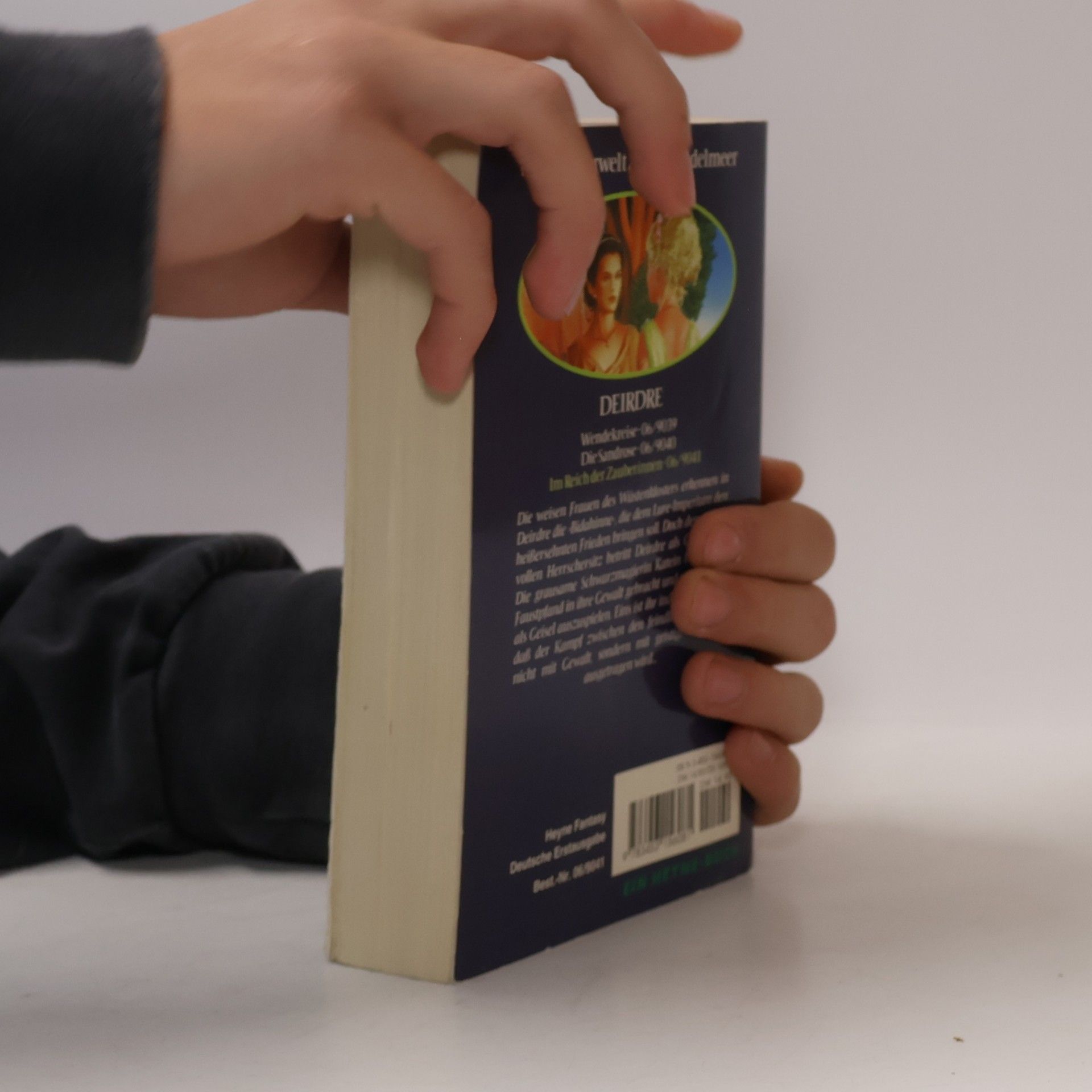Wim Gijsen Im Reich der Zauberinnen
