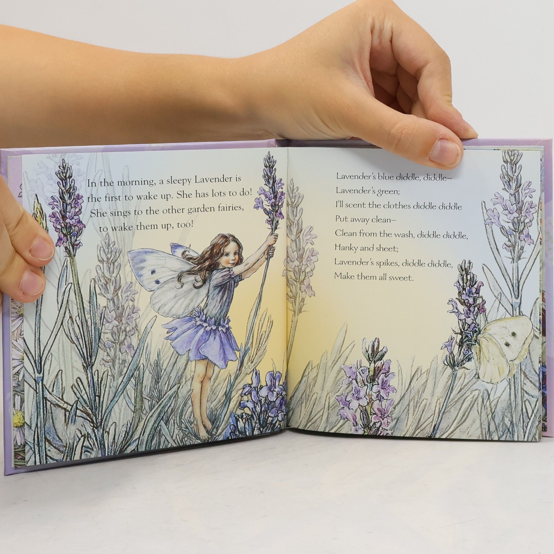 Cicely Mary Barker Lavender Finds a Friend